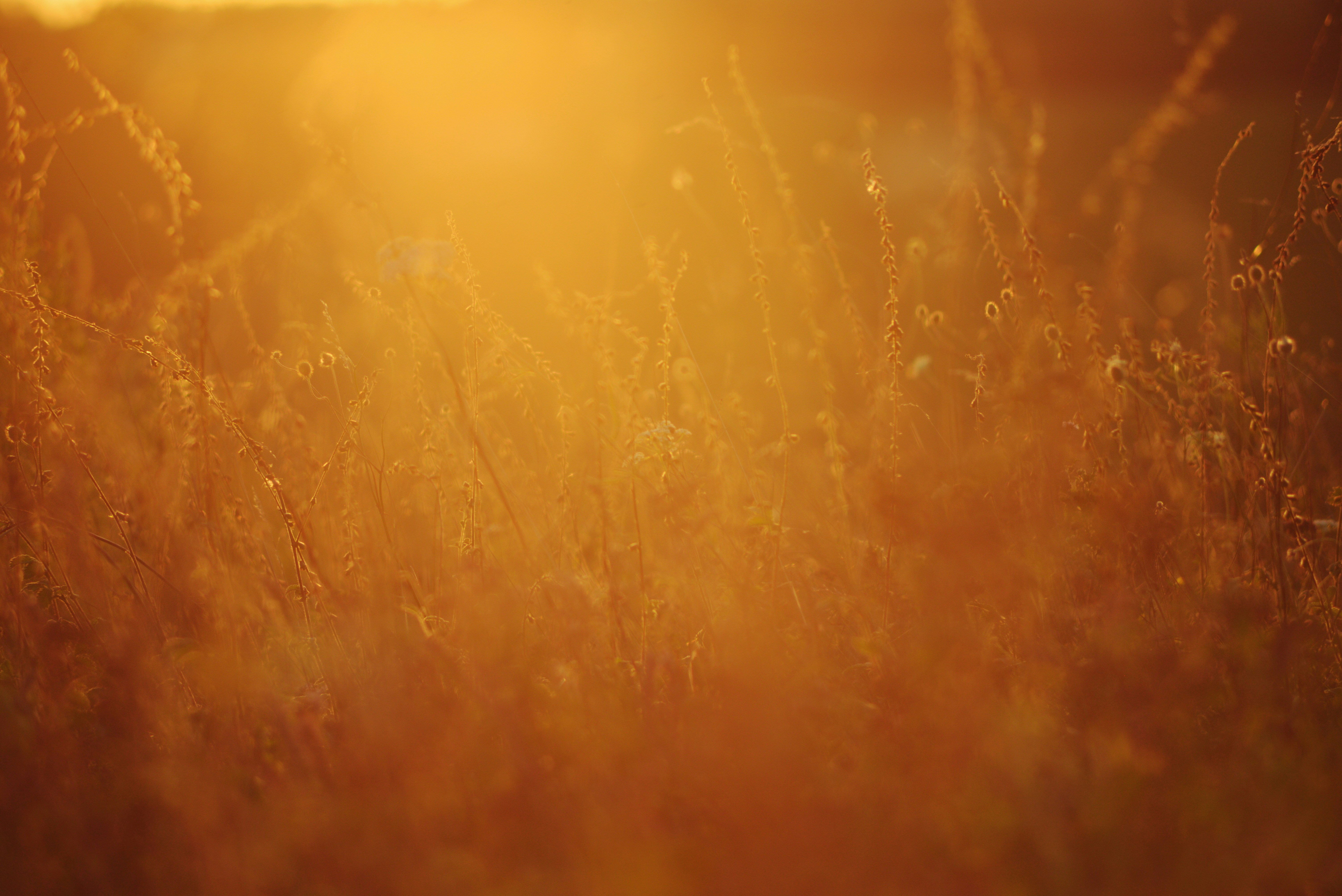 Photo by cherstve_pechivo