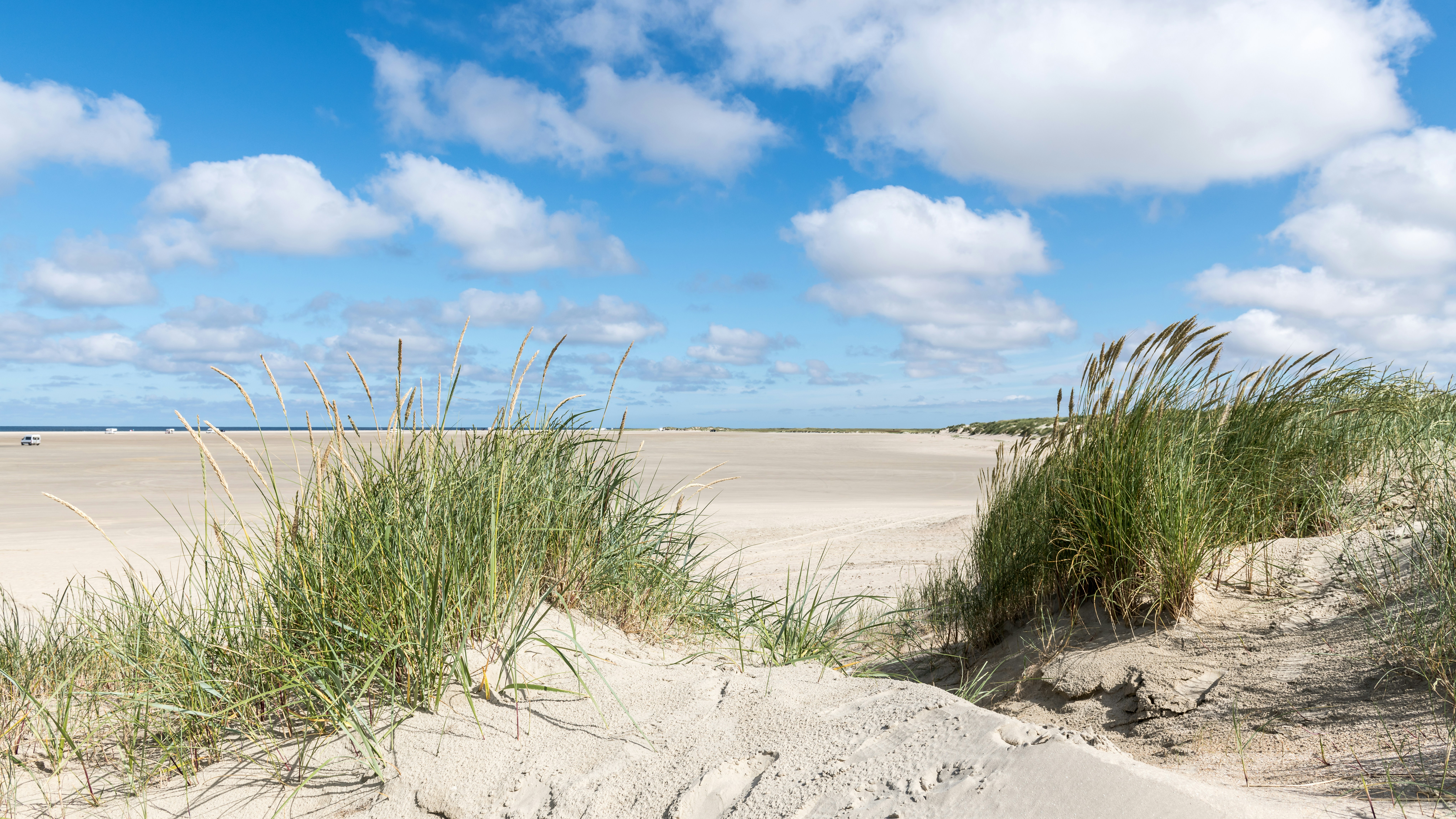 Photo by hamburgmeinefreundin