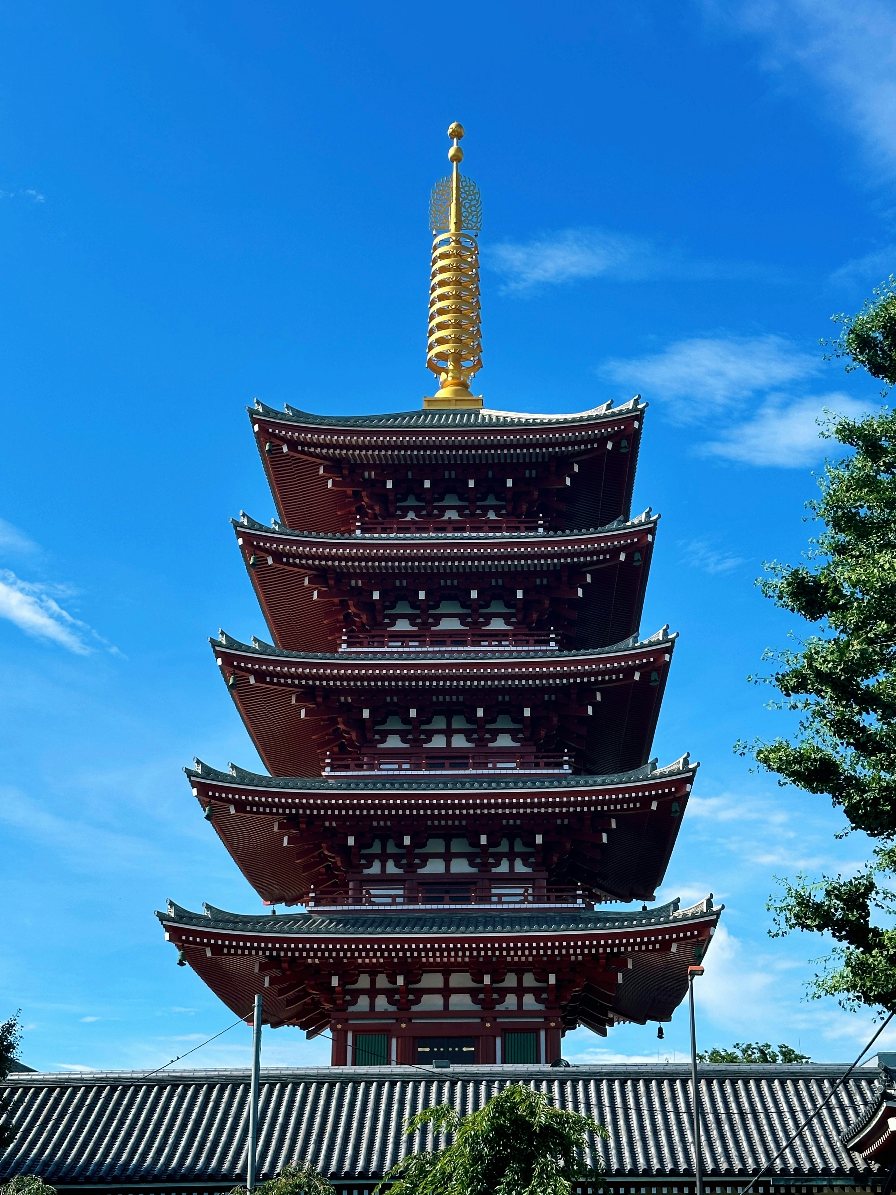 Photo by suphattratoemkrathok