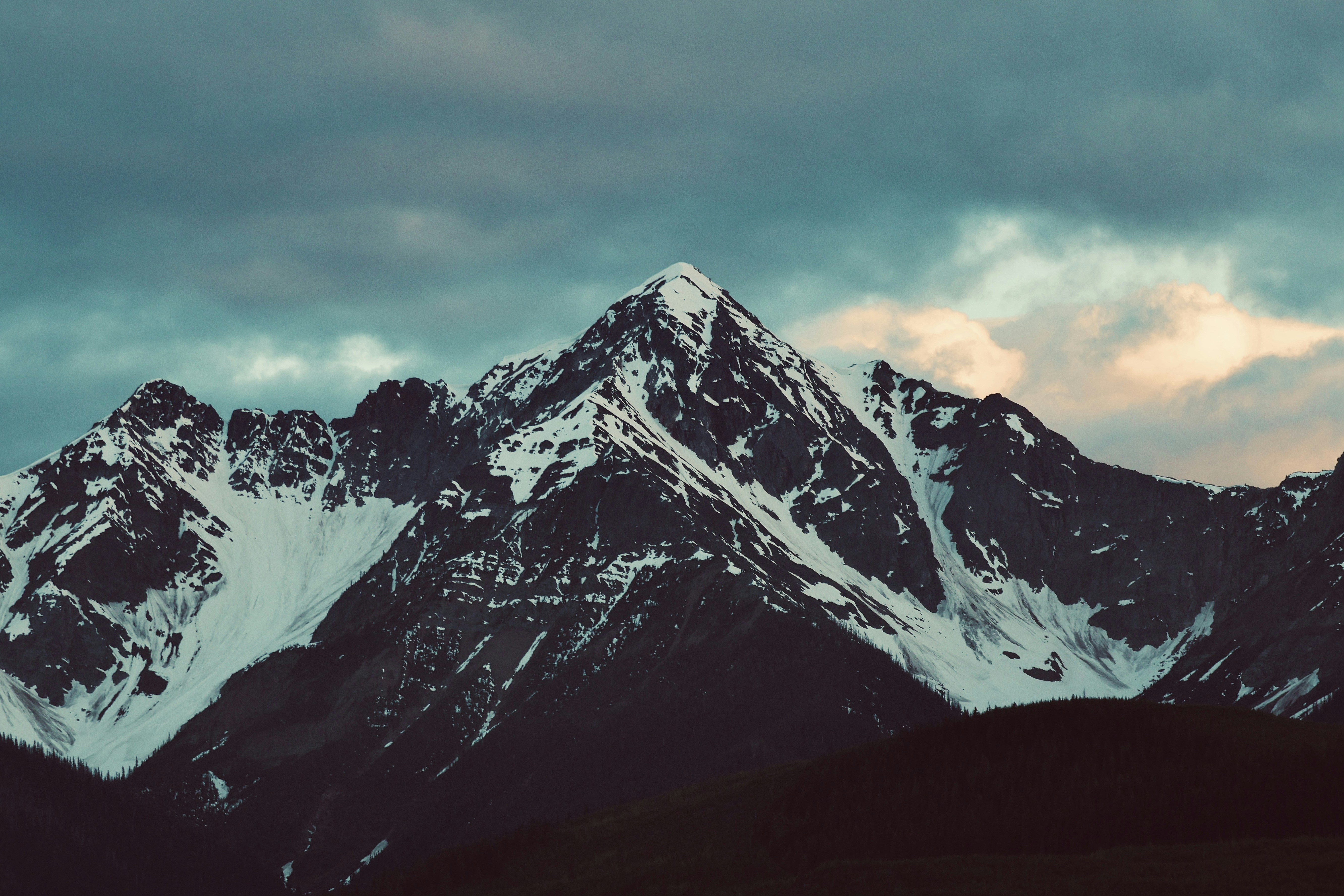 Photo by naturelensephotographer