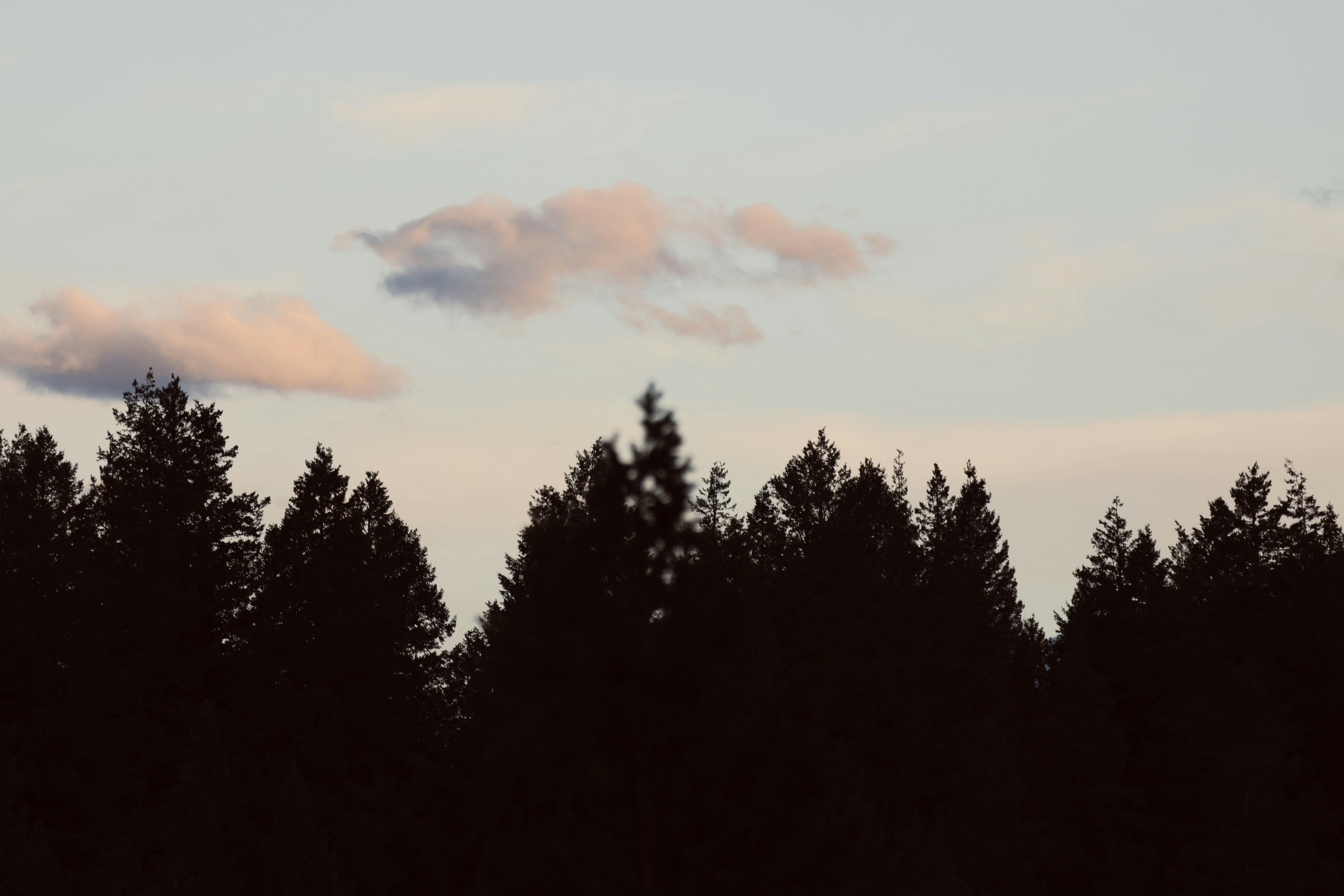 Photo by naturelensephotographer