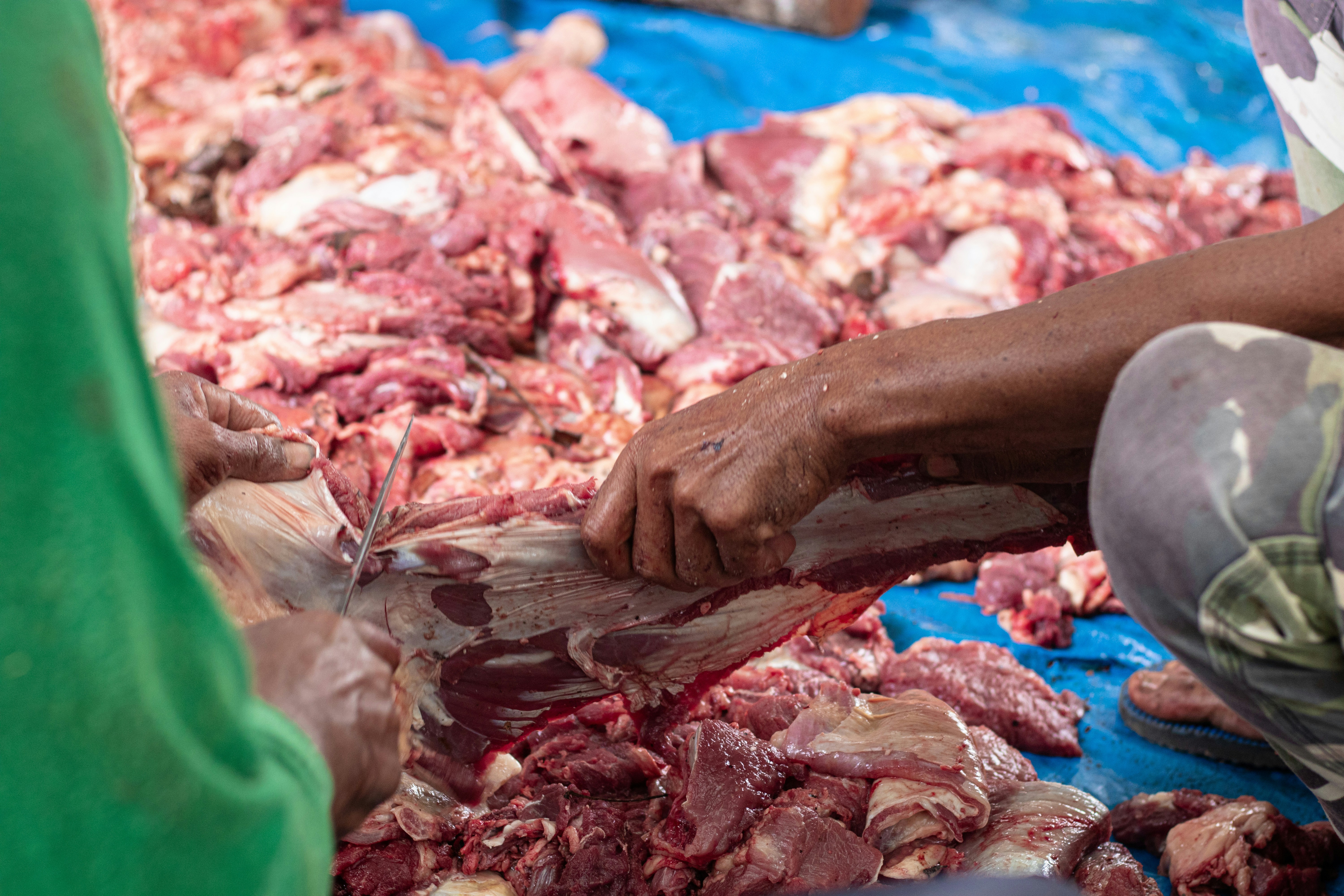 Two man Cutting meat to small pieces