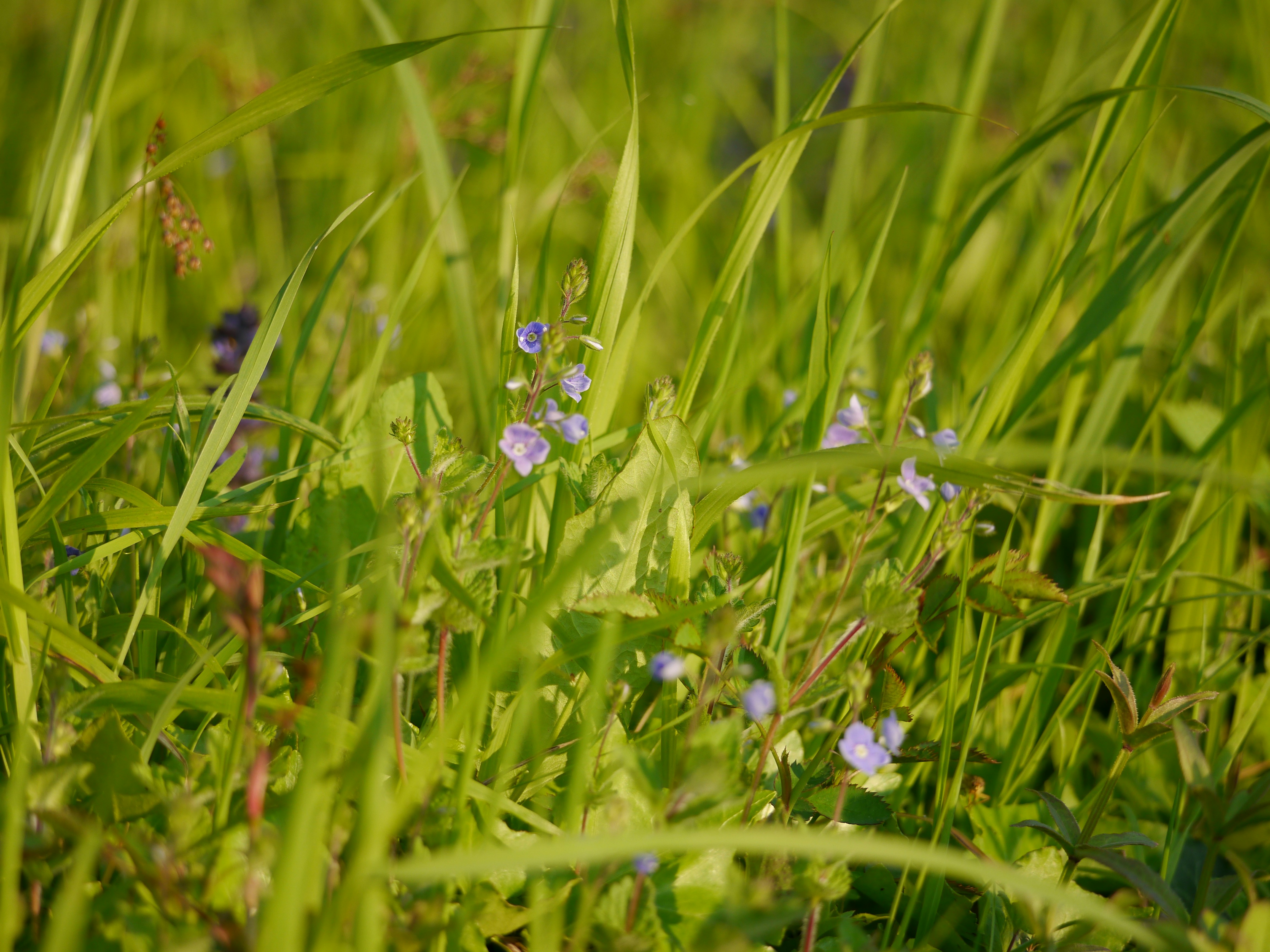 Photo by iqsphotography