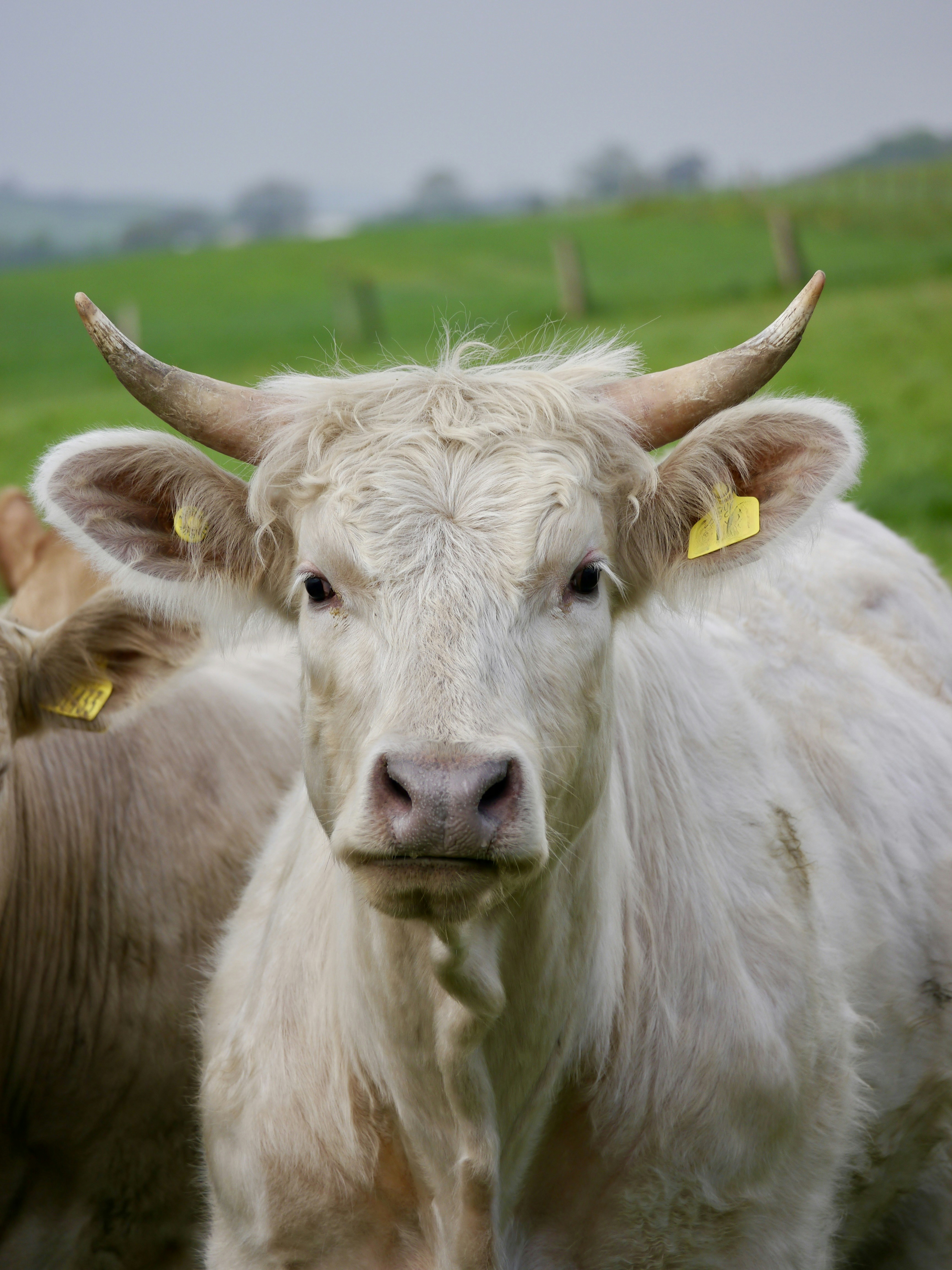 Photo by iqsphotography