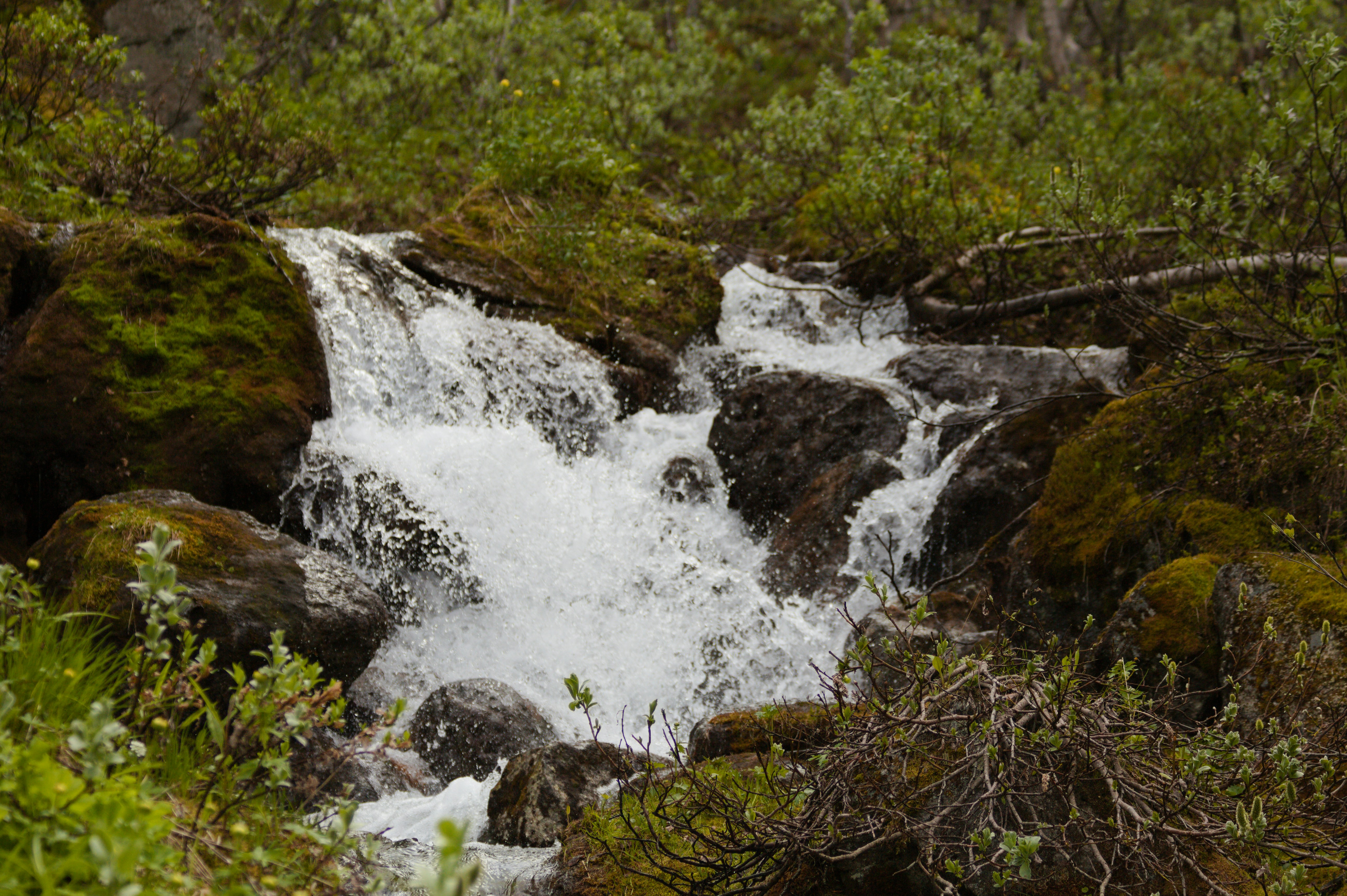 Photo by alexander_churkin