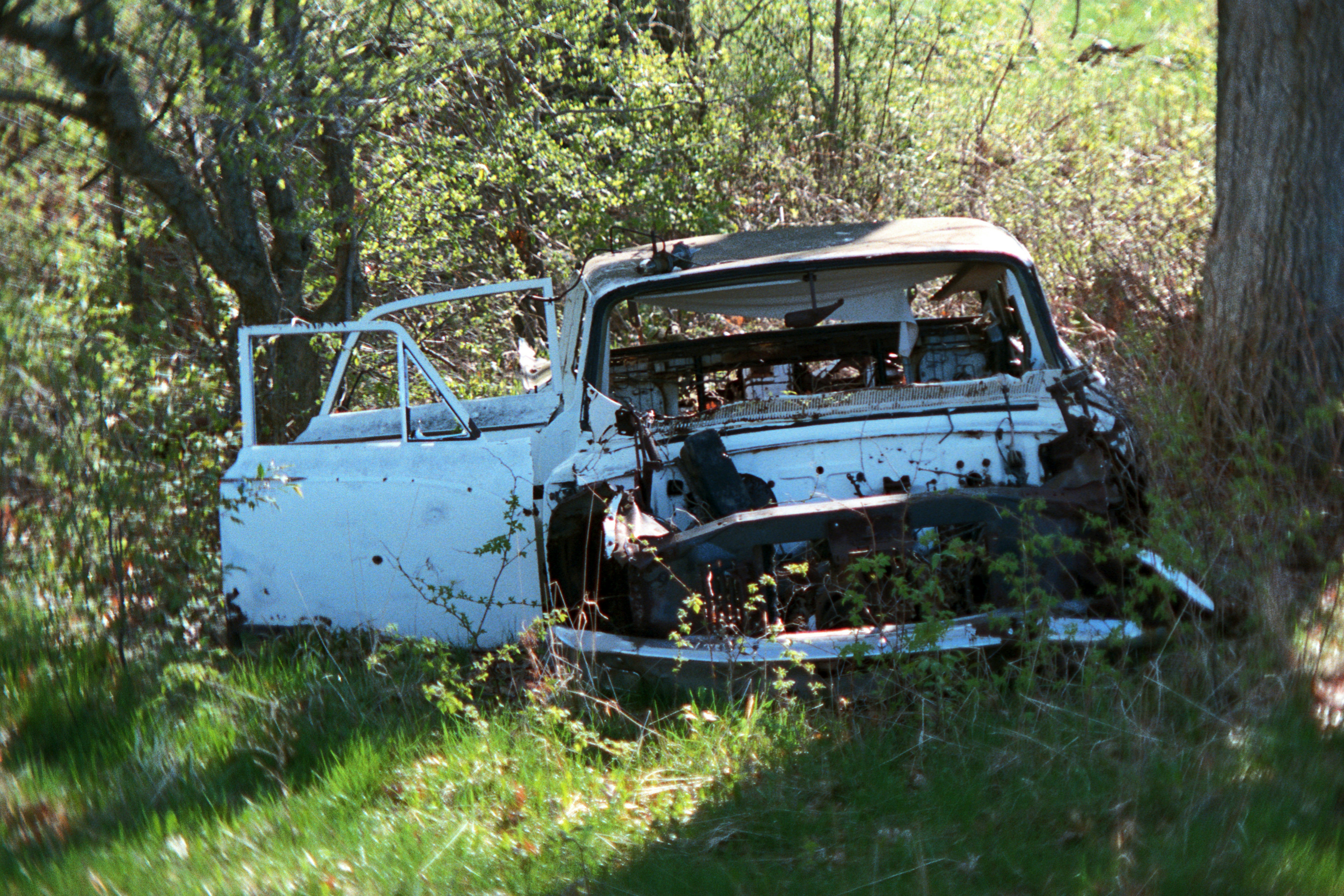 An old car sitting in the grass next to a tree