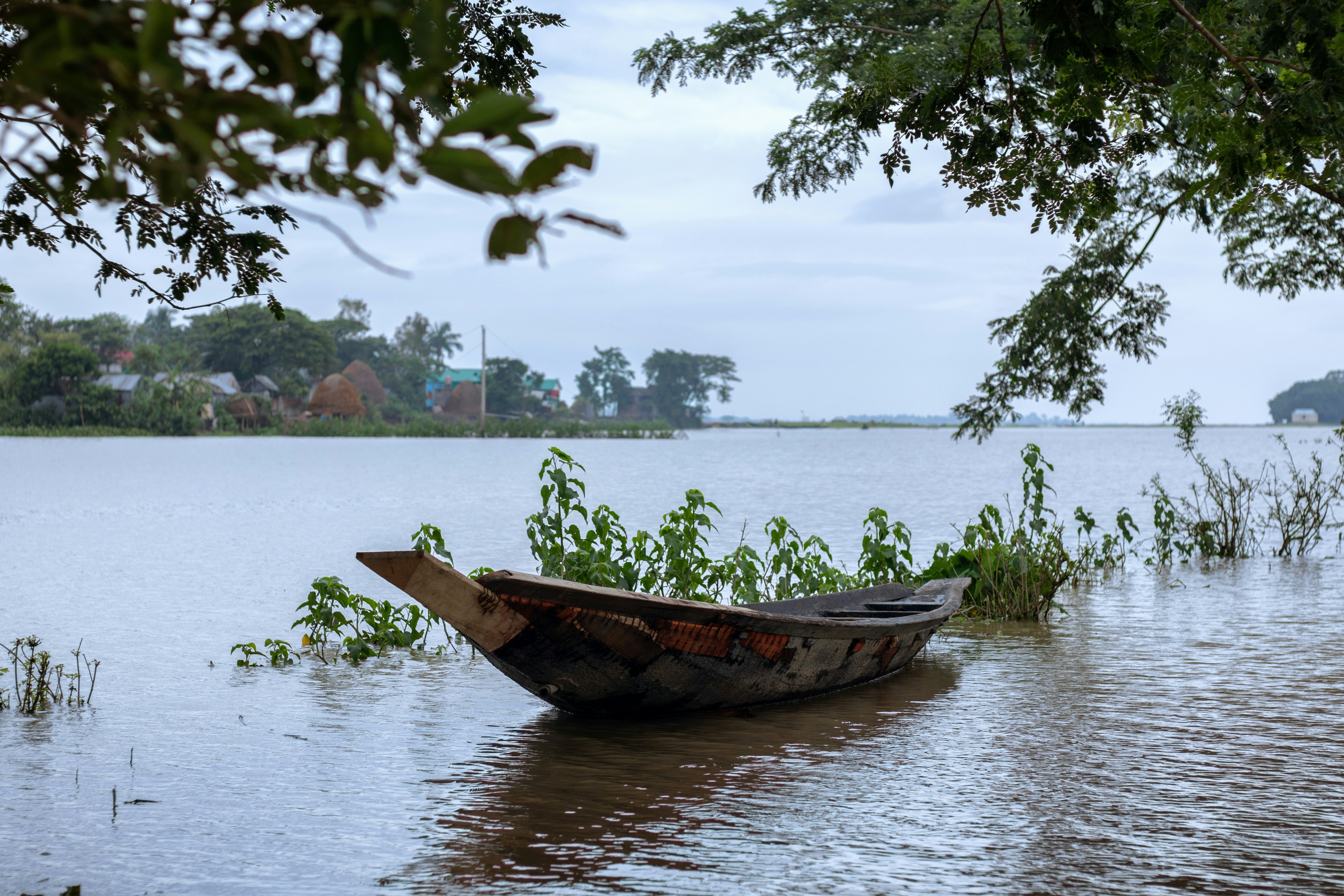 Tendon Adaptation: Why It's Slower Than Muscle and What to Do About It