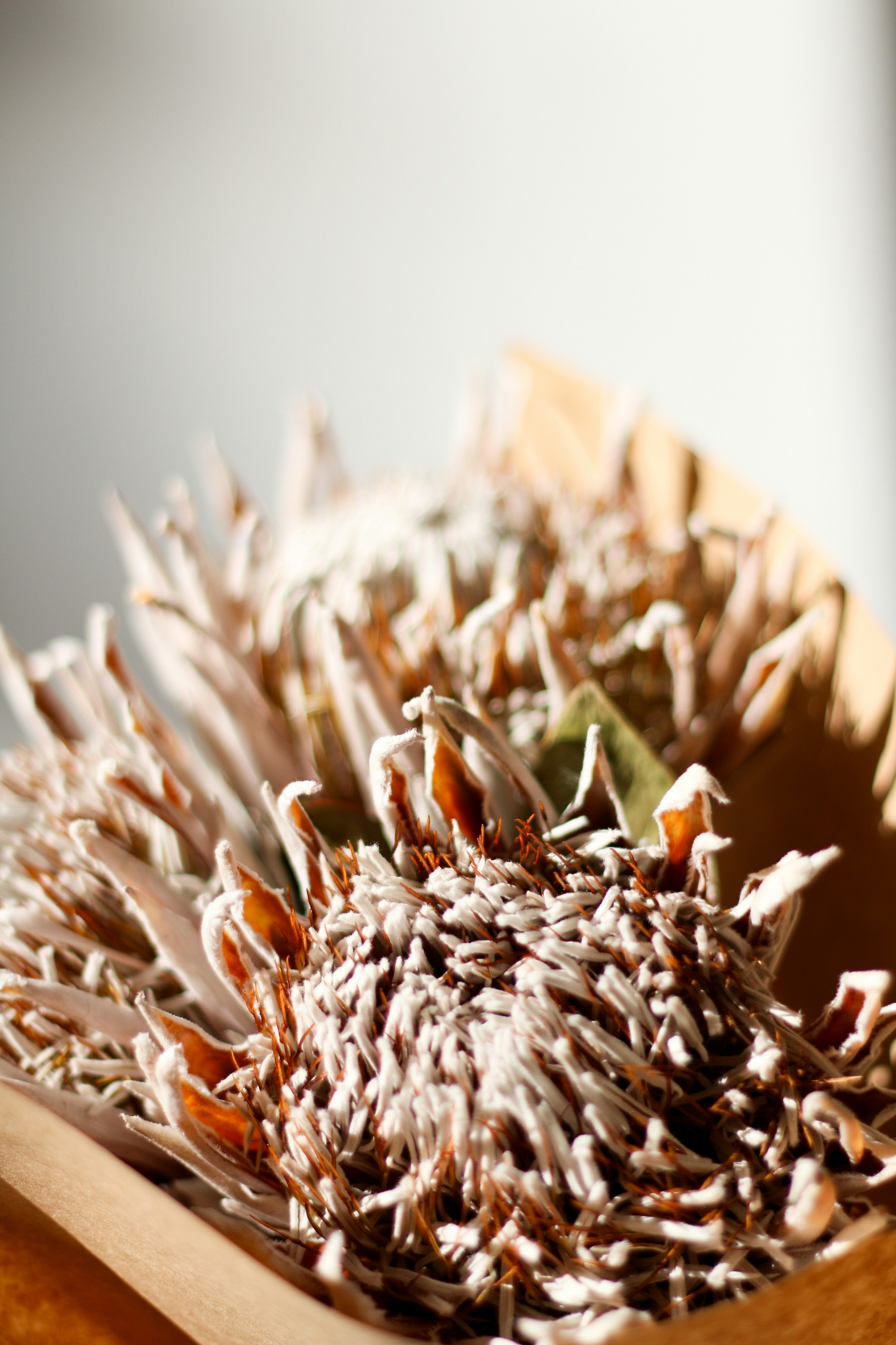 A close up of a bunch of flowers on a table