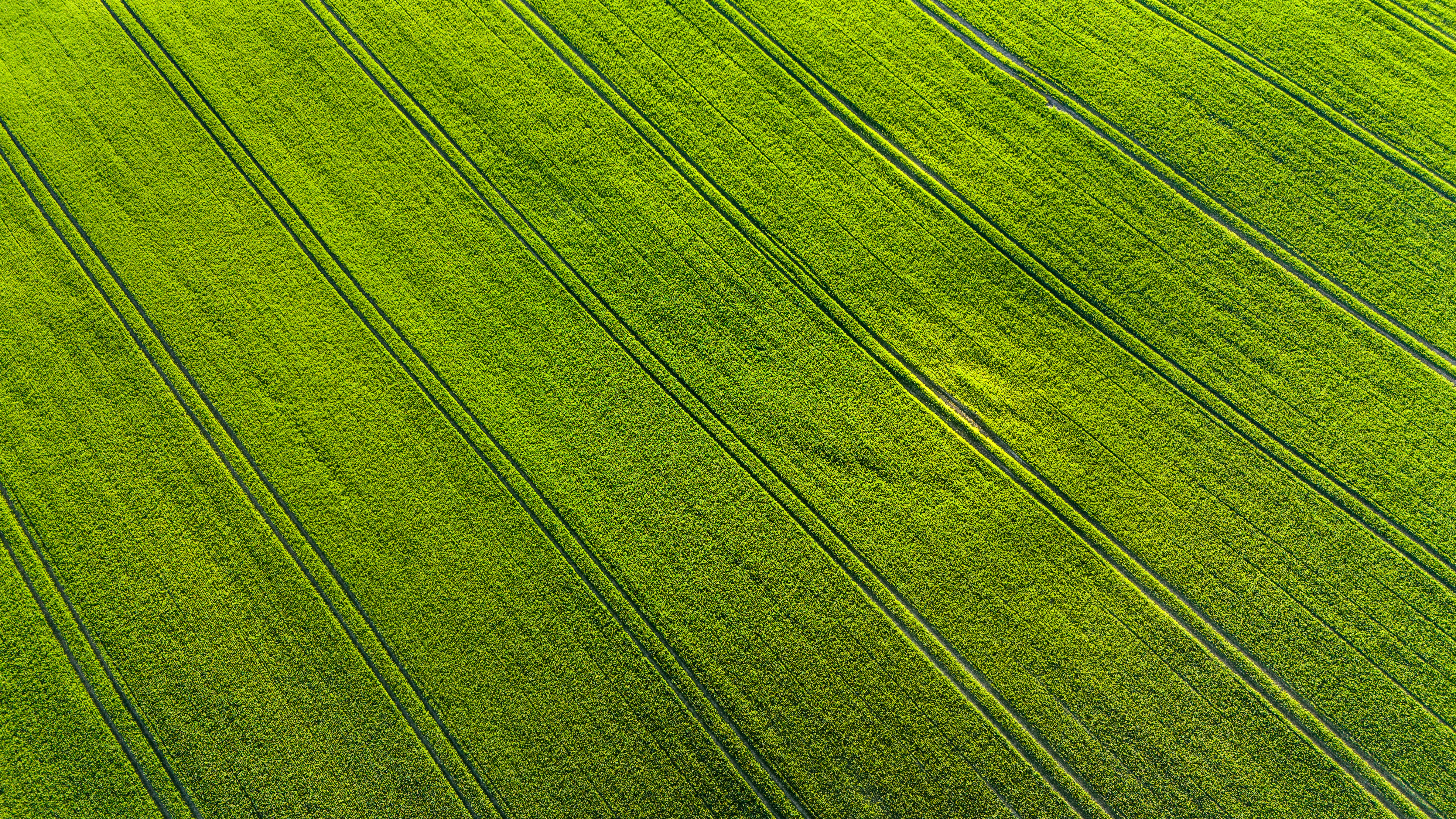 Photo by marekpiwnicki