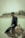 A man sitting on a rock in the water