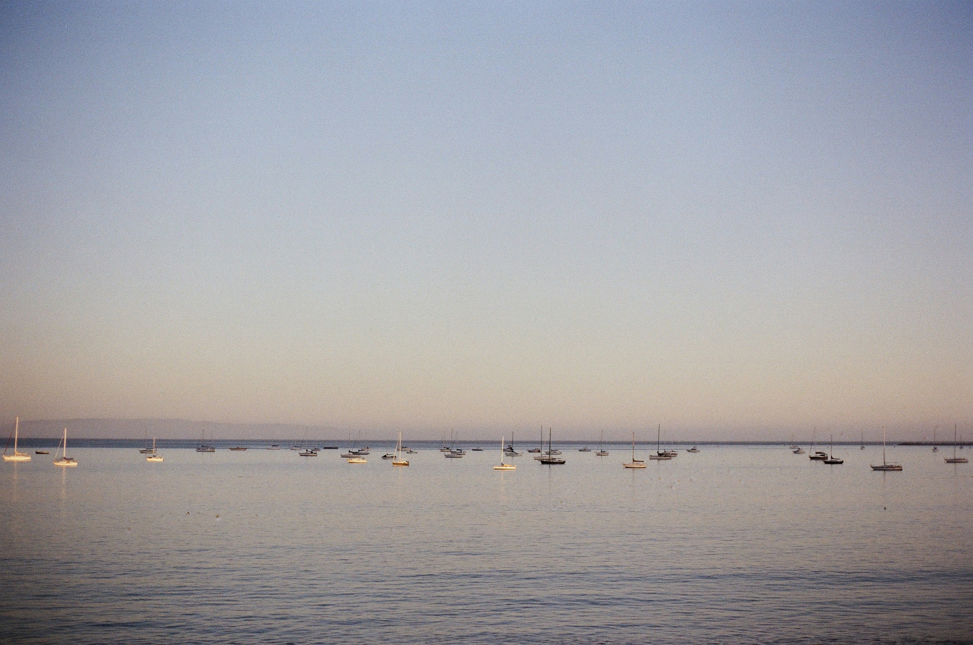 Photo by cecilia_frost