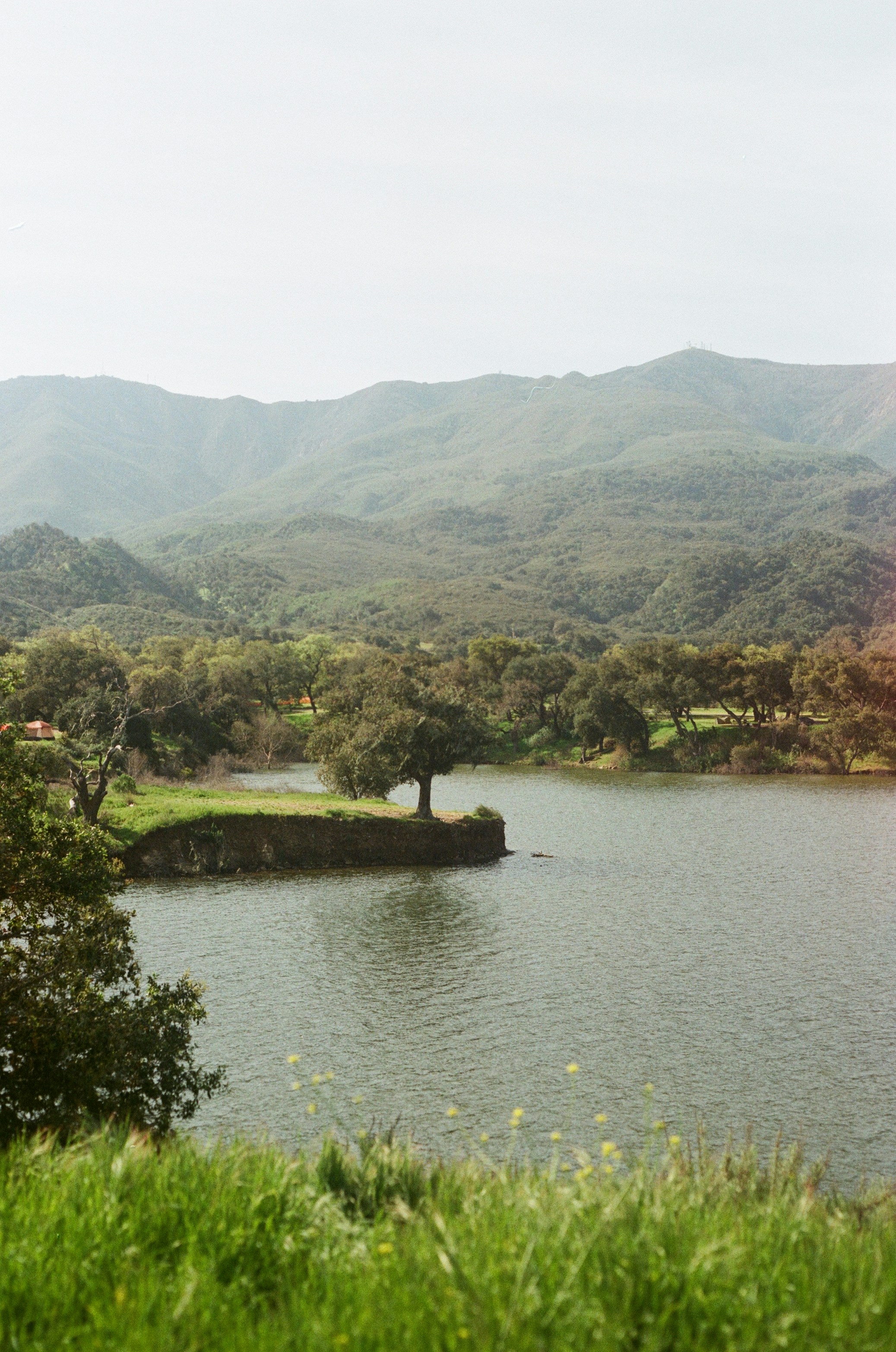 Where to Stay in Santa Ynez Valley, Californias Next Great Wine Destination - Observer