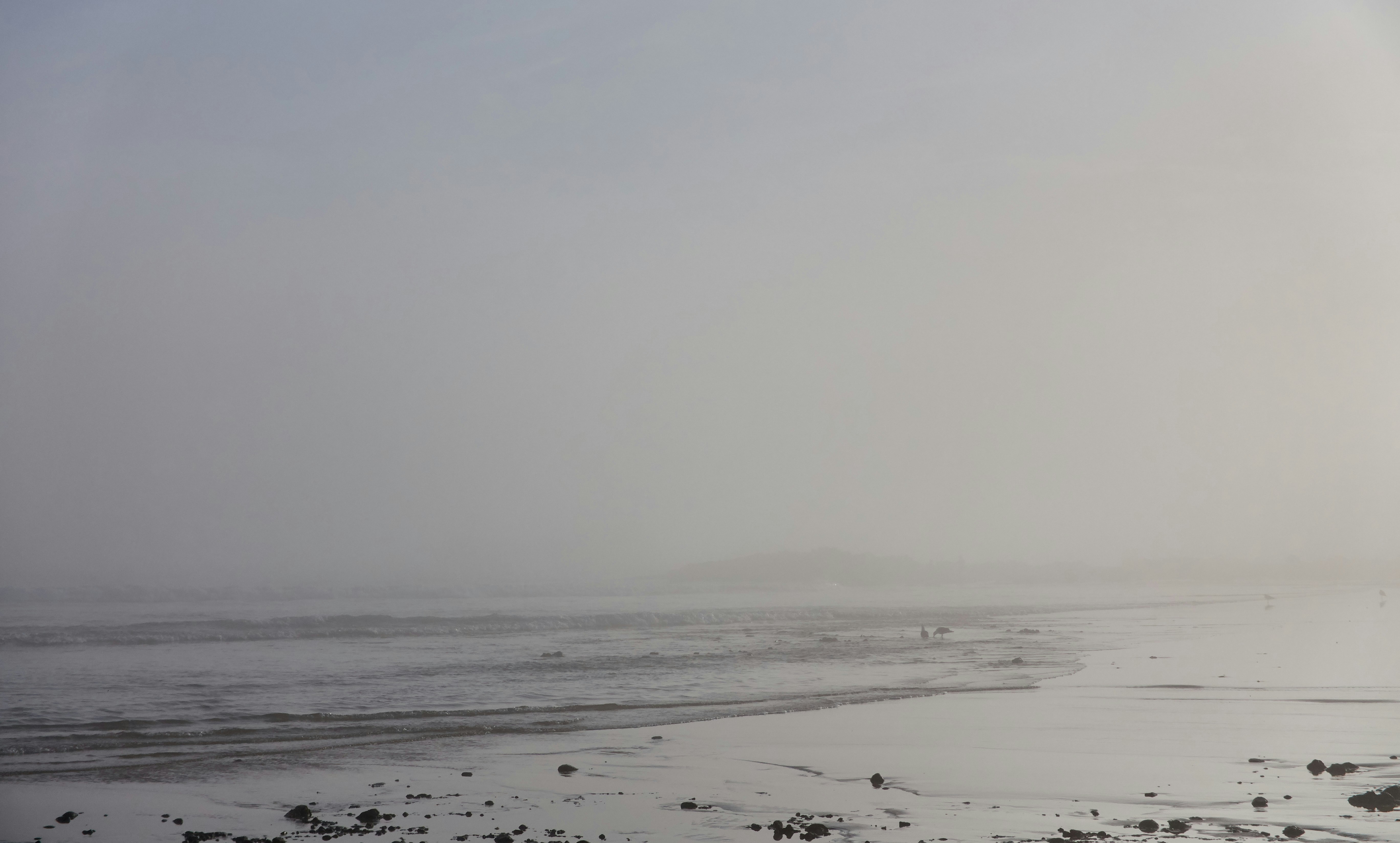 Photo by wolfgang_hasselmann