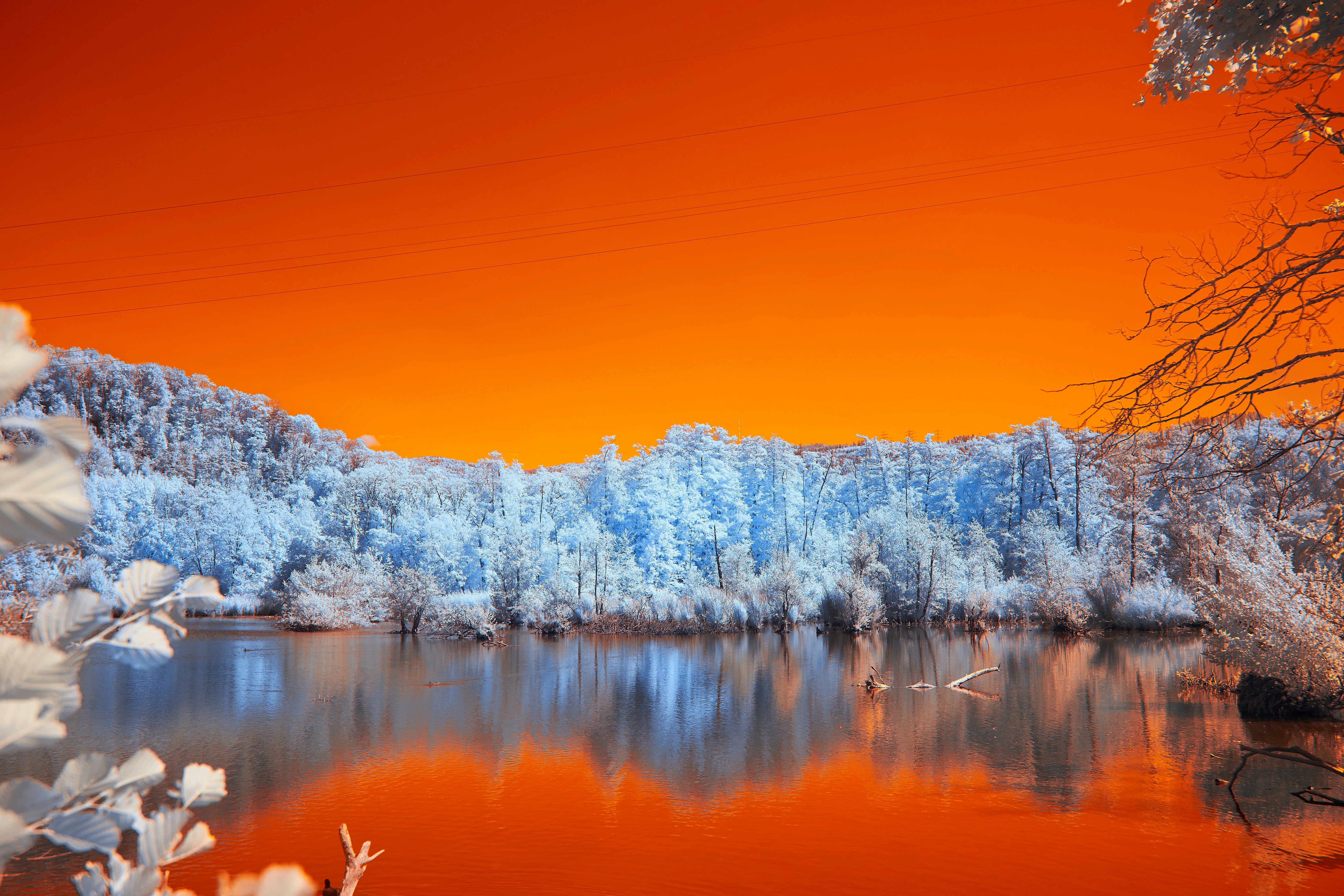 Photo by wolfgang_hasselmann