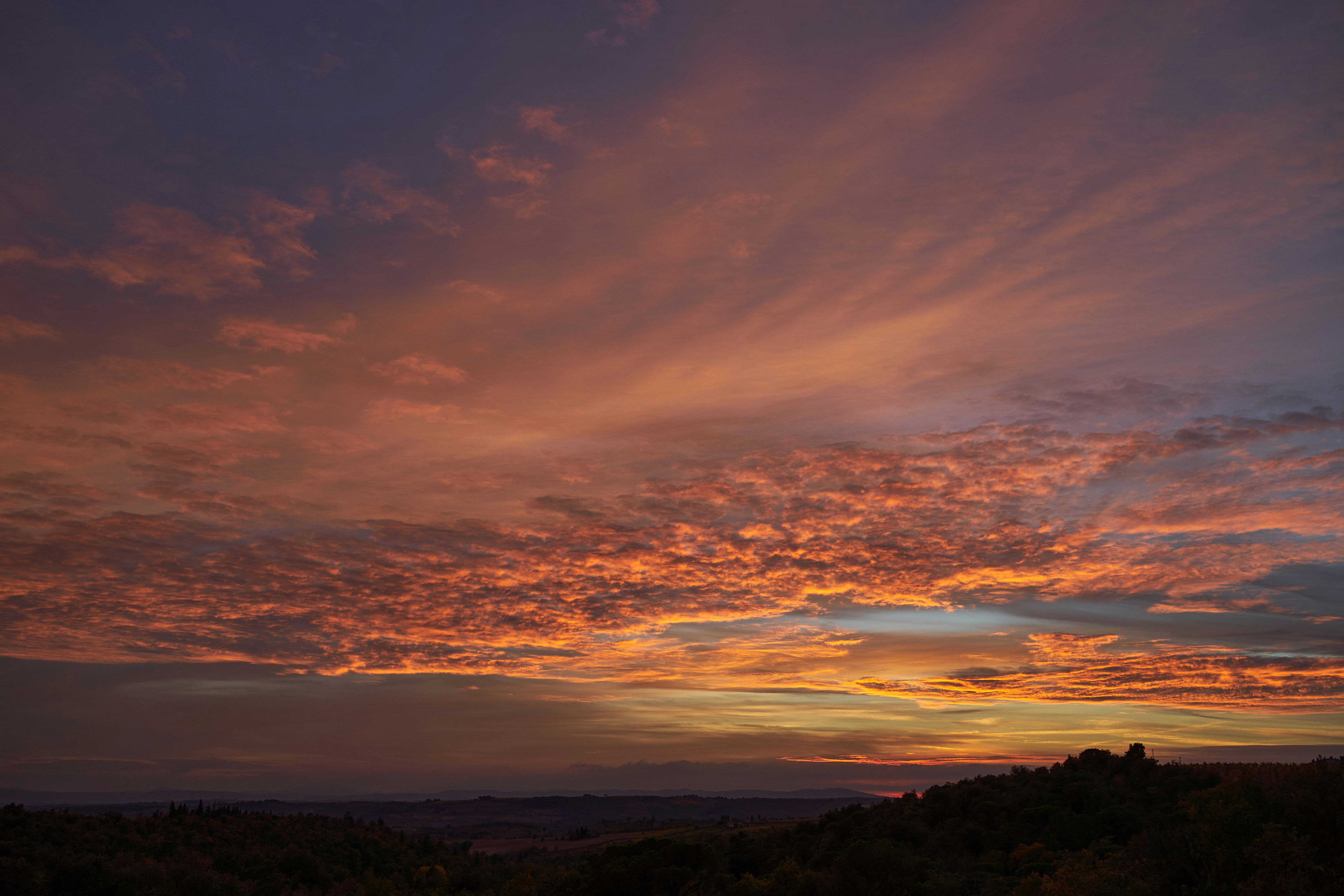 Photo by wolfgang_hasselmann