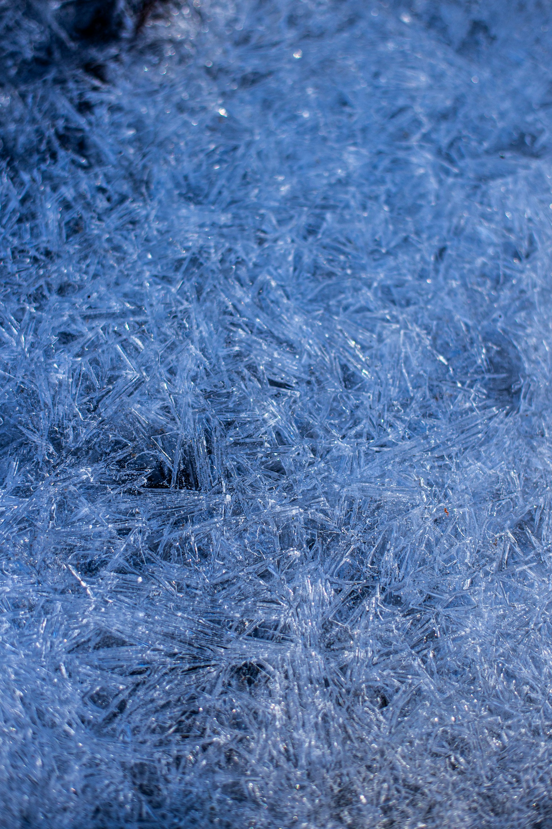 A close up of blue frost on the ground