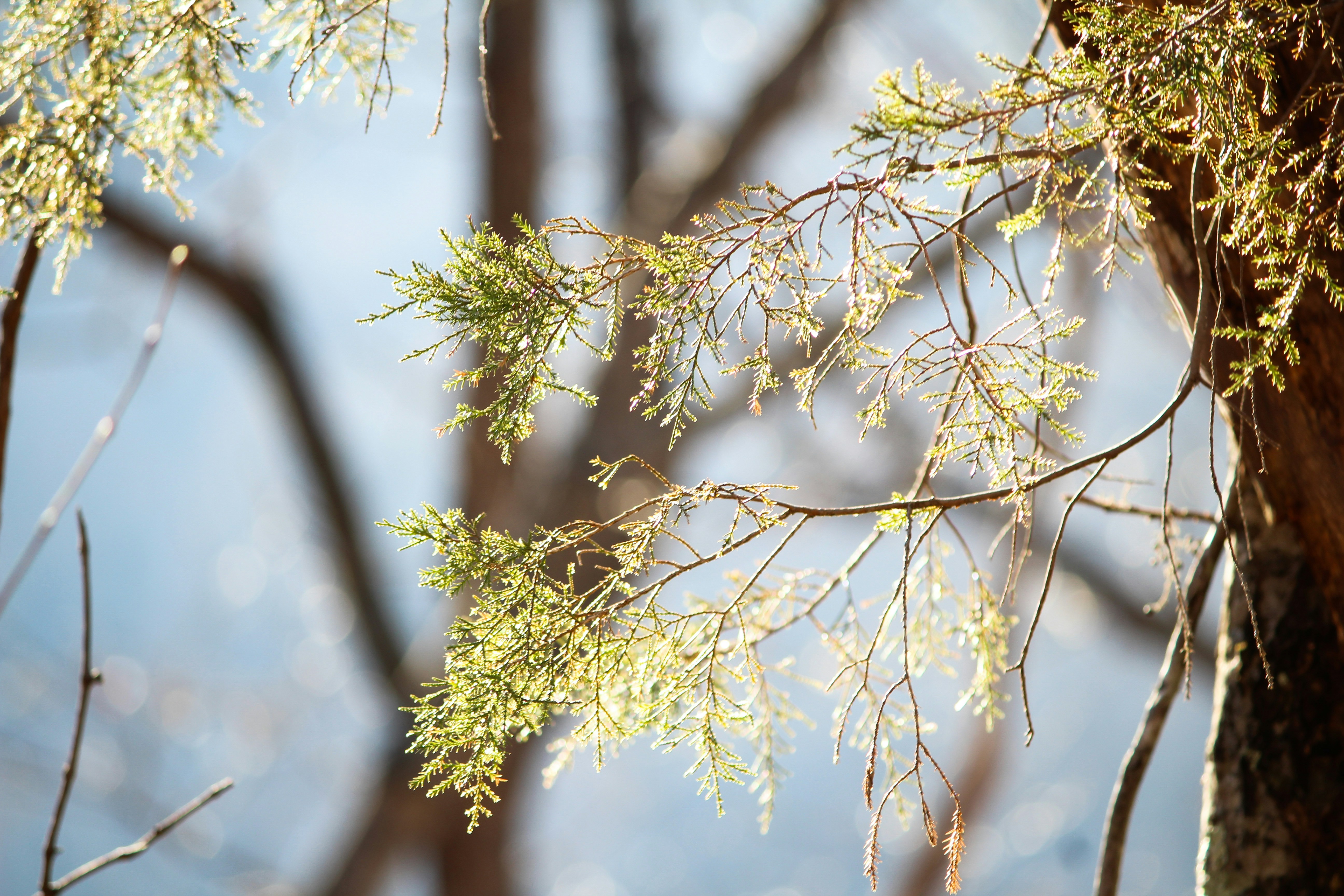 Photo by timelessandtraditional