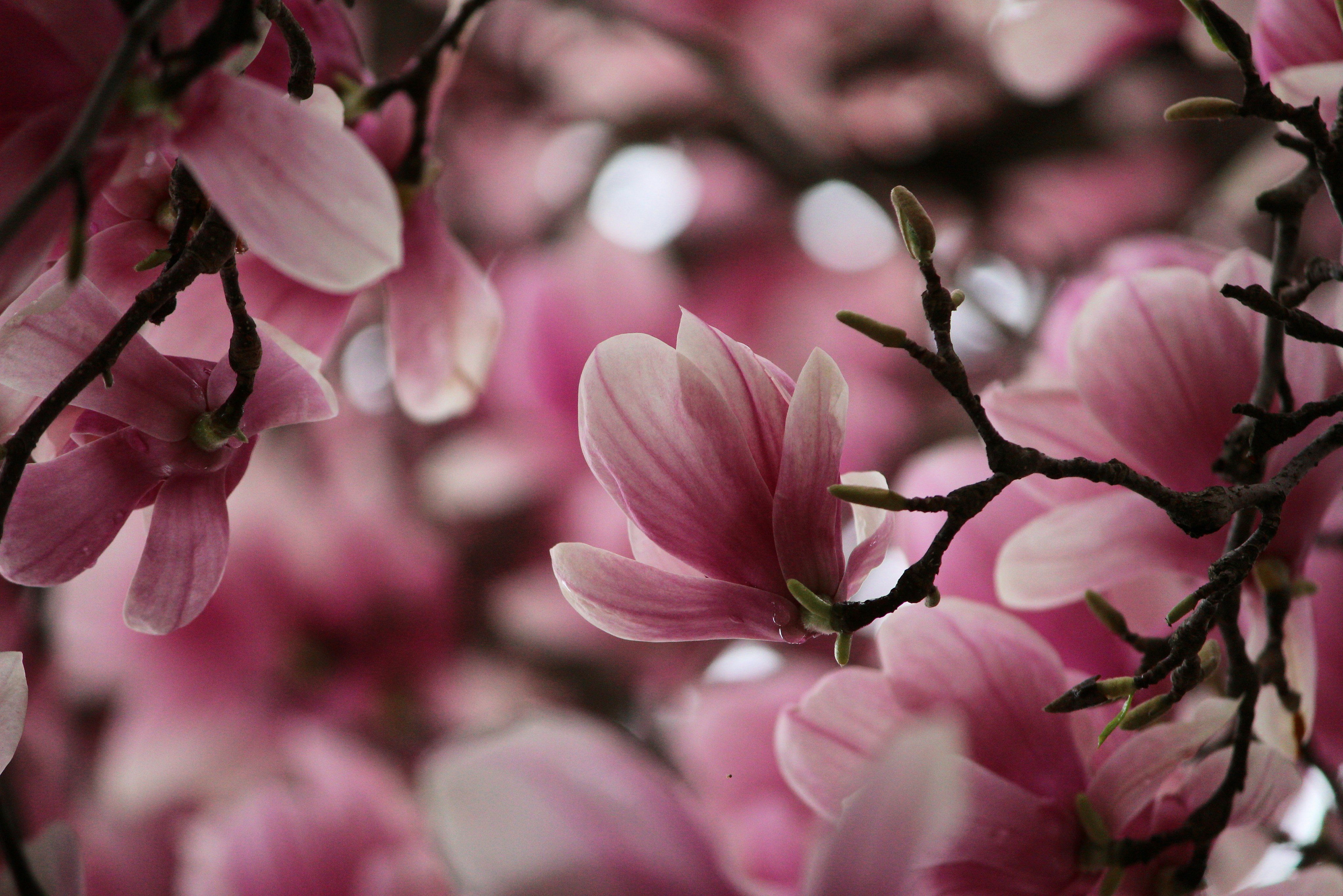 Photo by timelessandtraditional