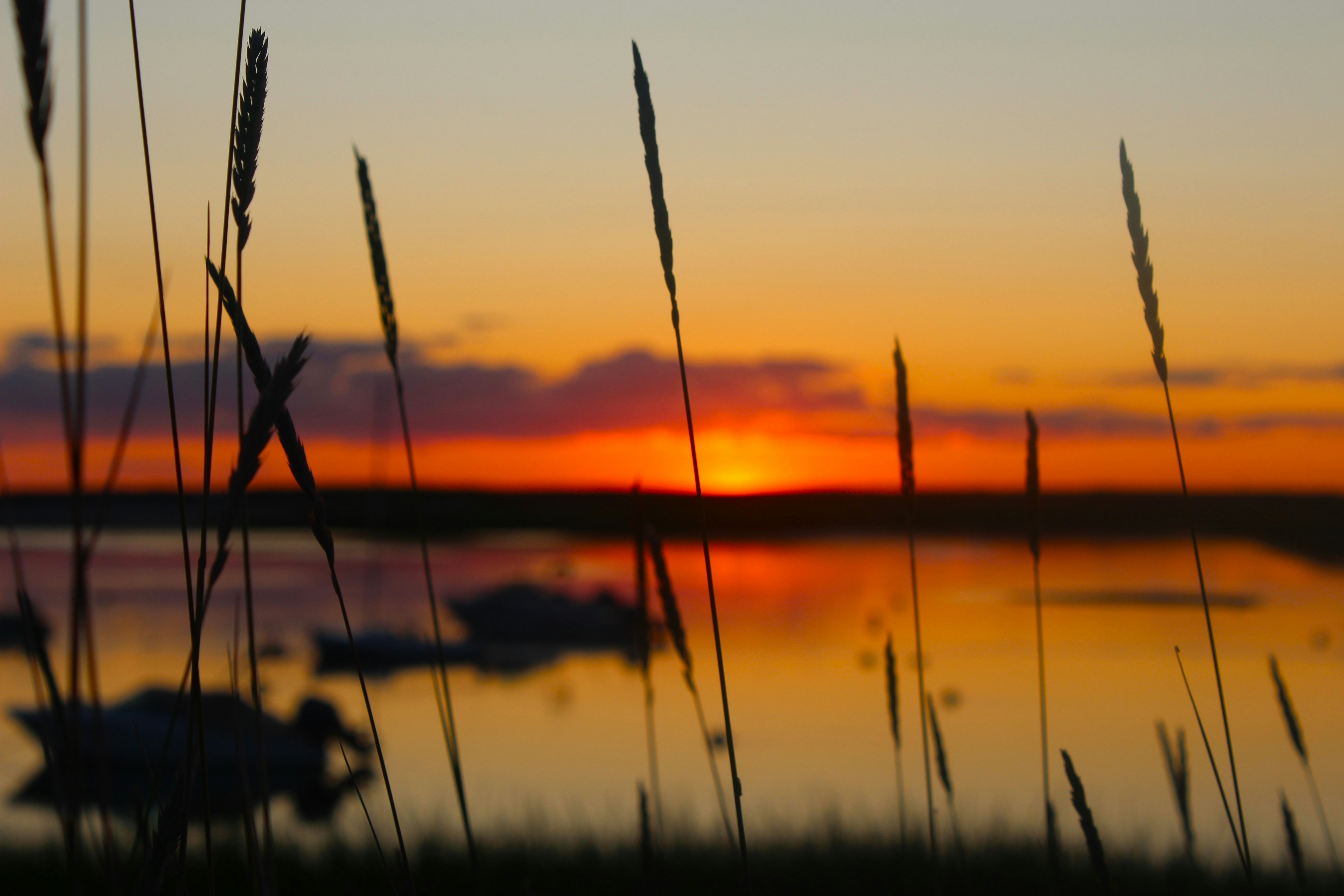 Photo by tylerohiobutler