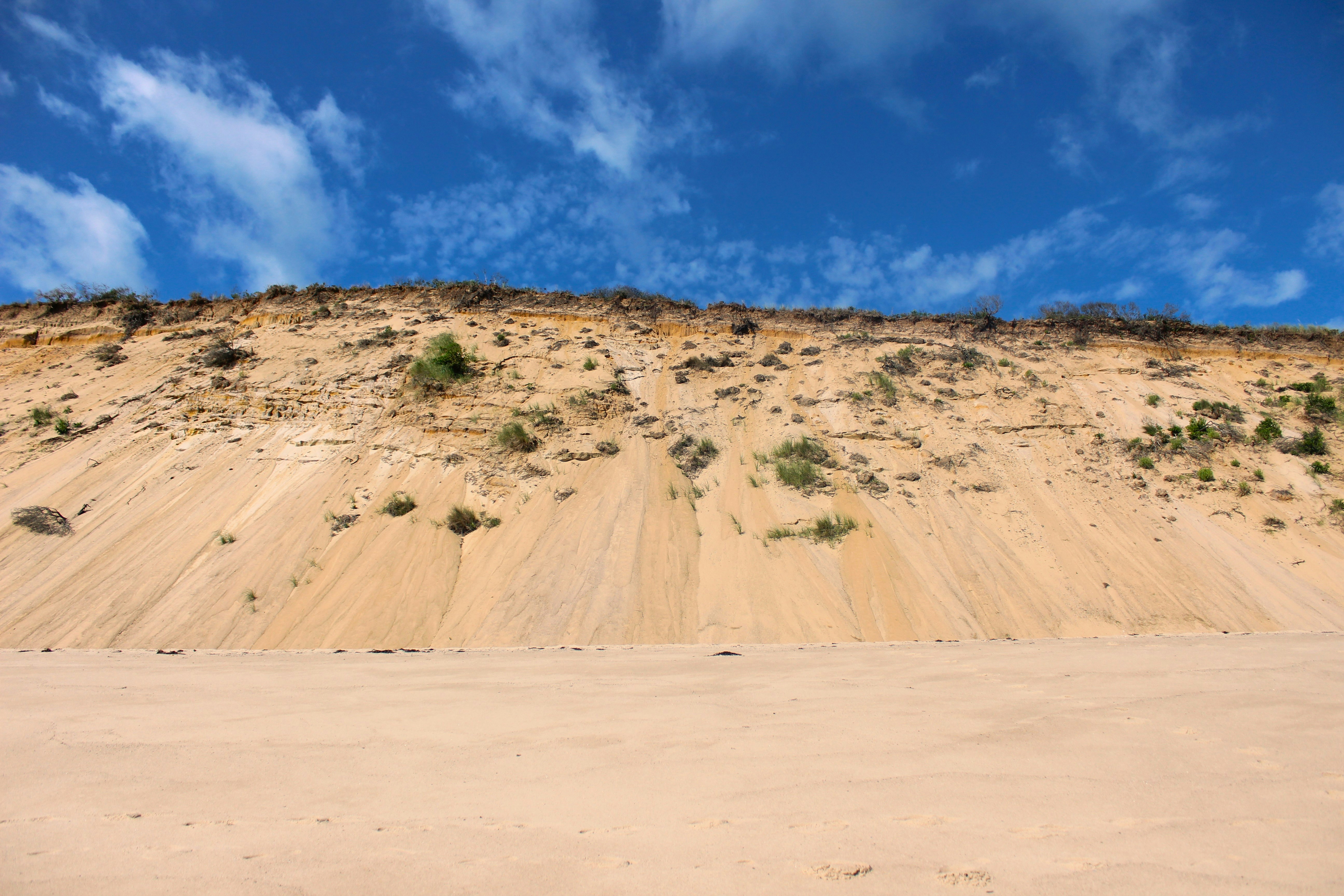 A sandy hill with trees on top of it