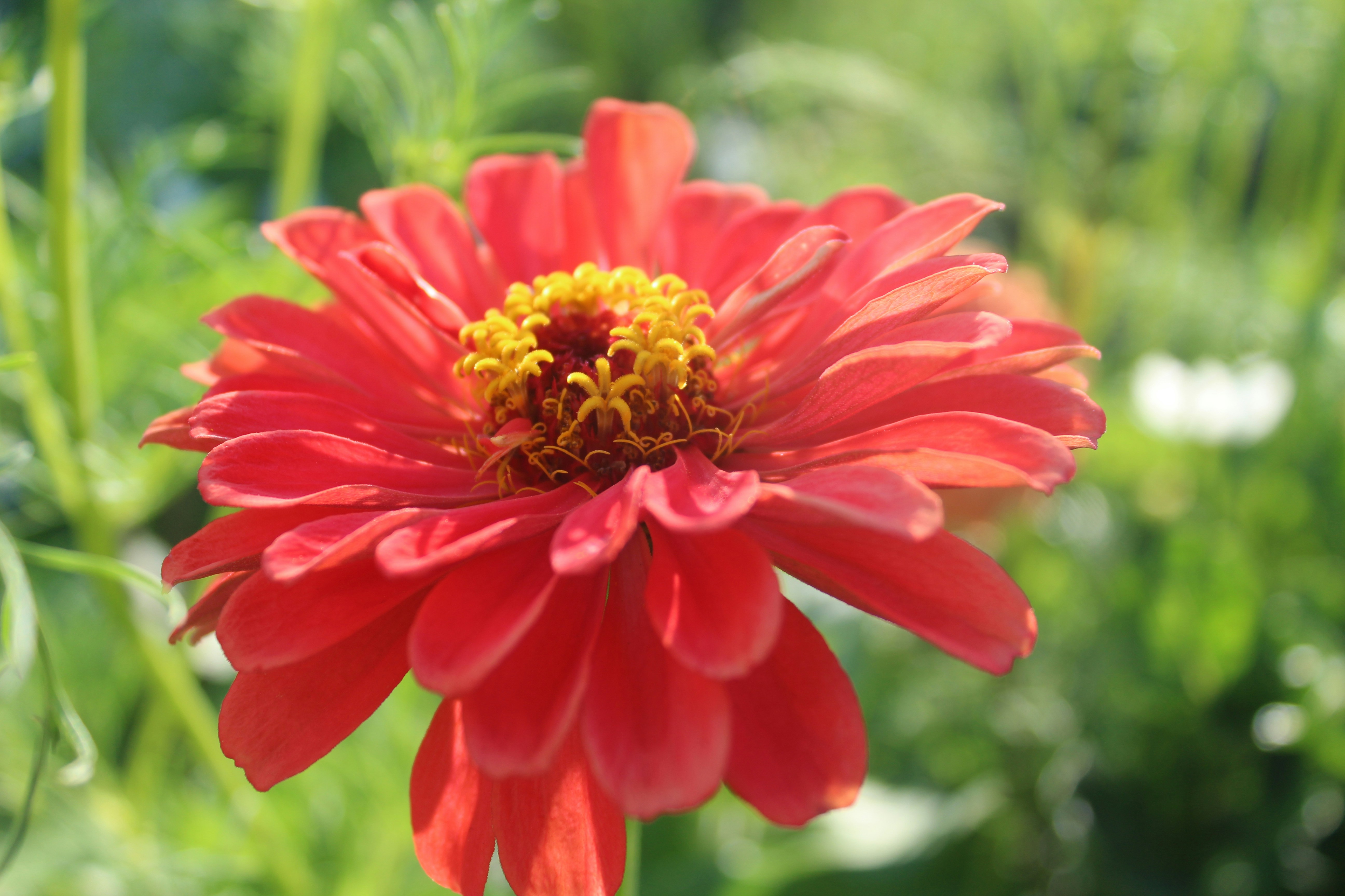 Photo by tylerohiobutler