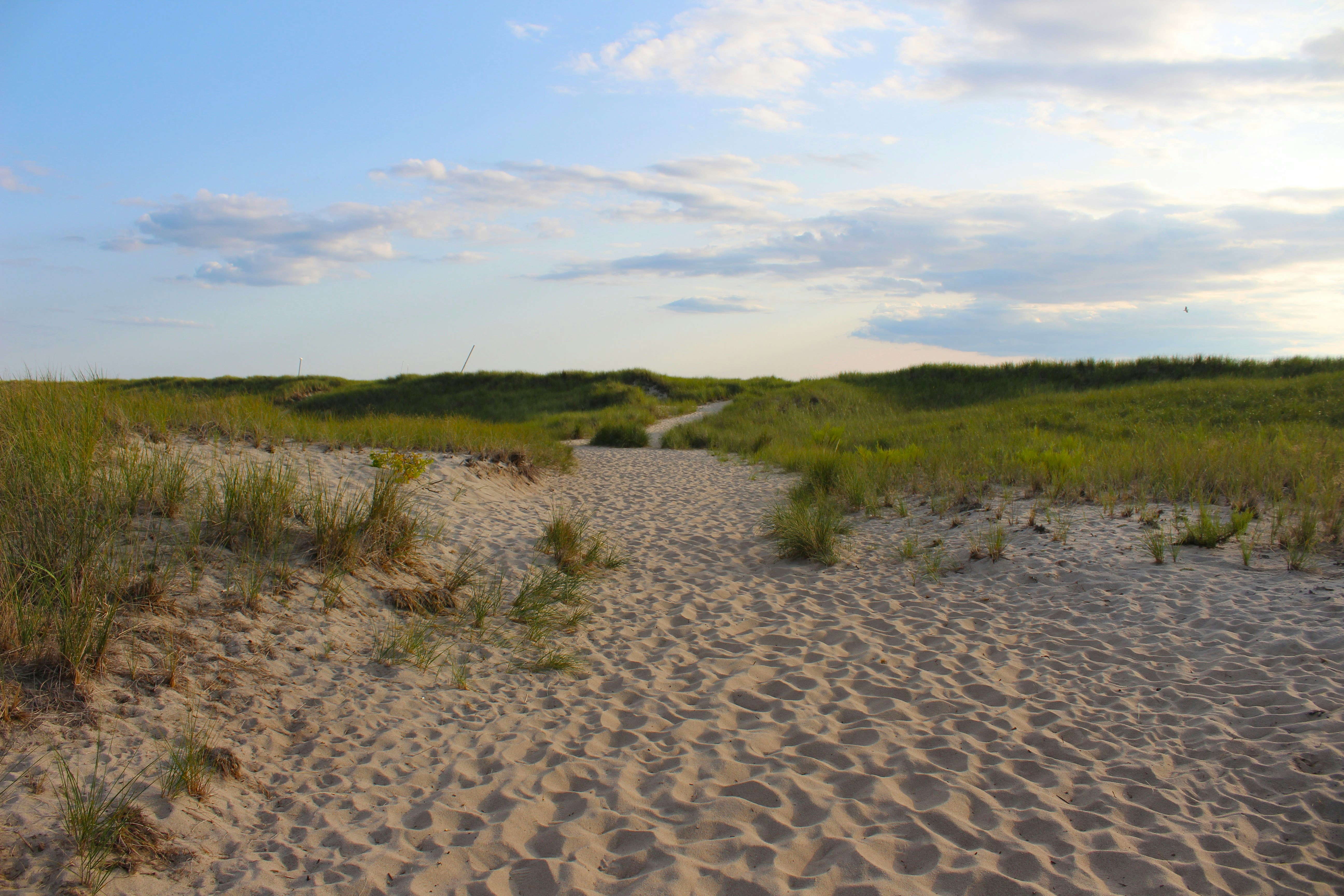 Photo by tylerohiobutler