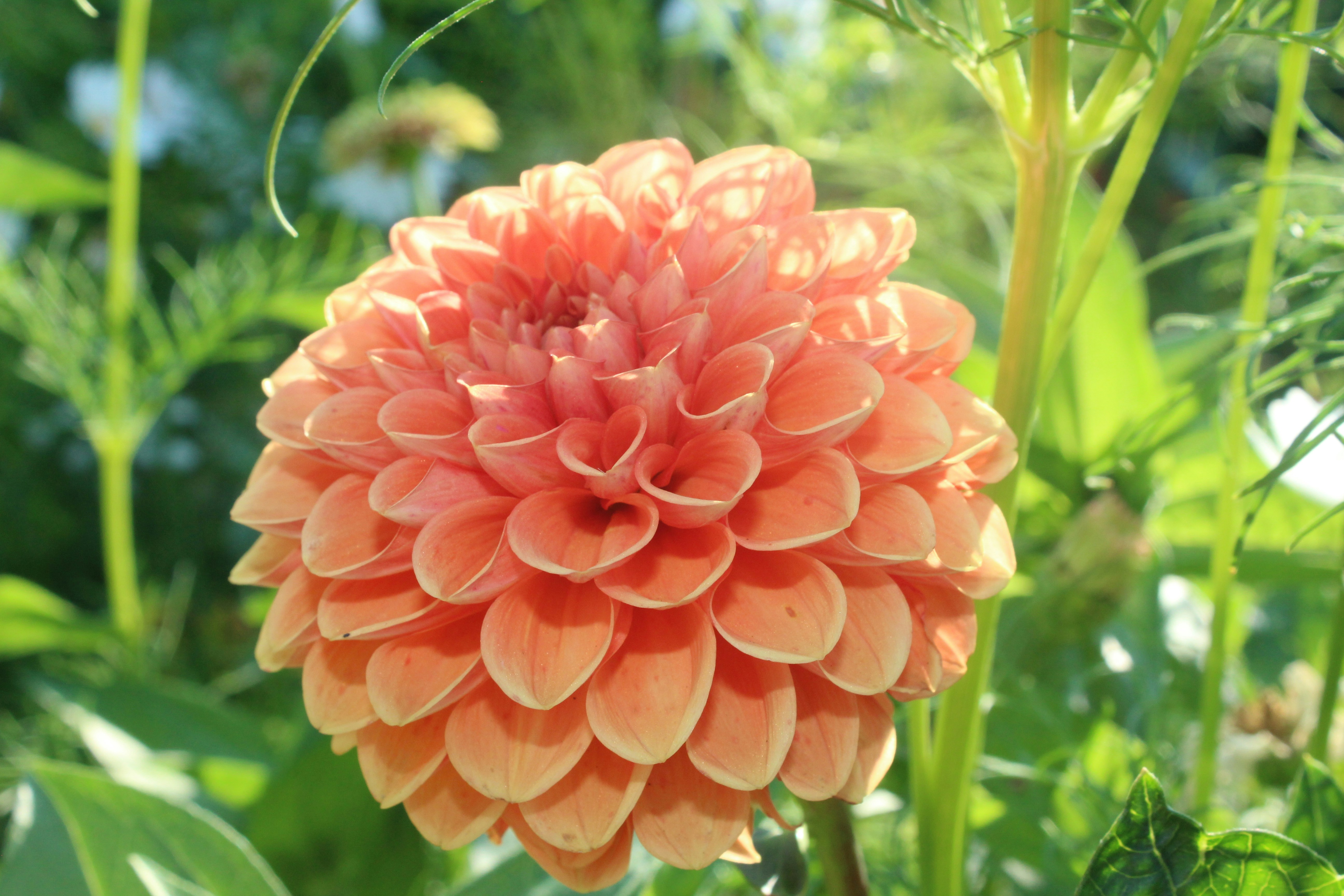 Photo by tylerohiobutler