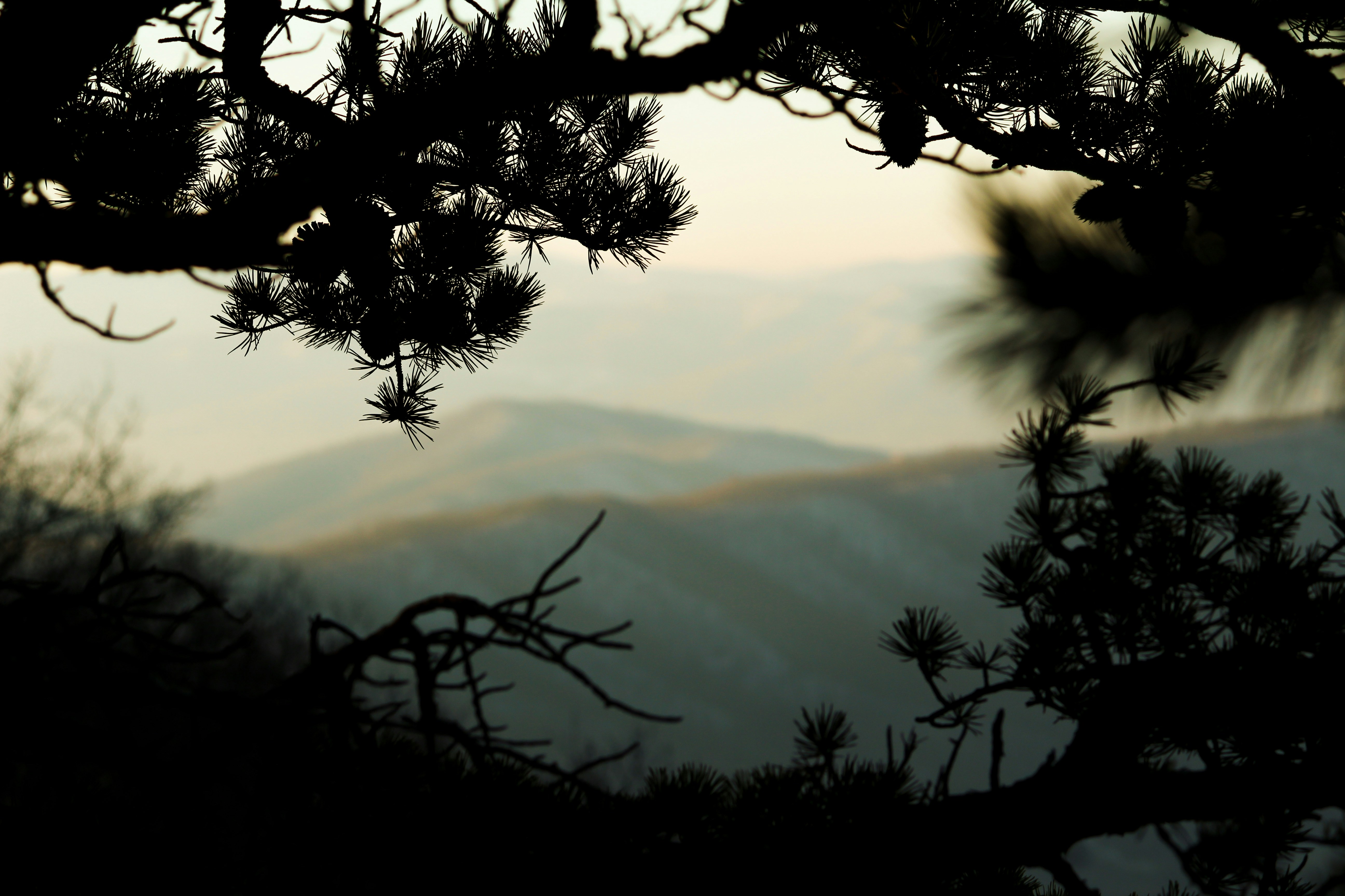 Twilight Hike Saturday Feb 7, 4:30-6:00PM