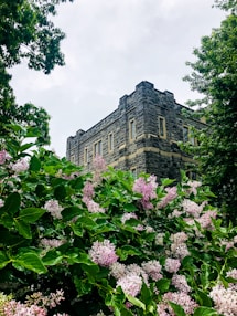 A large building surrounded by trees and flowers
