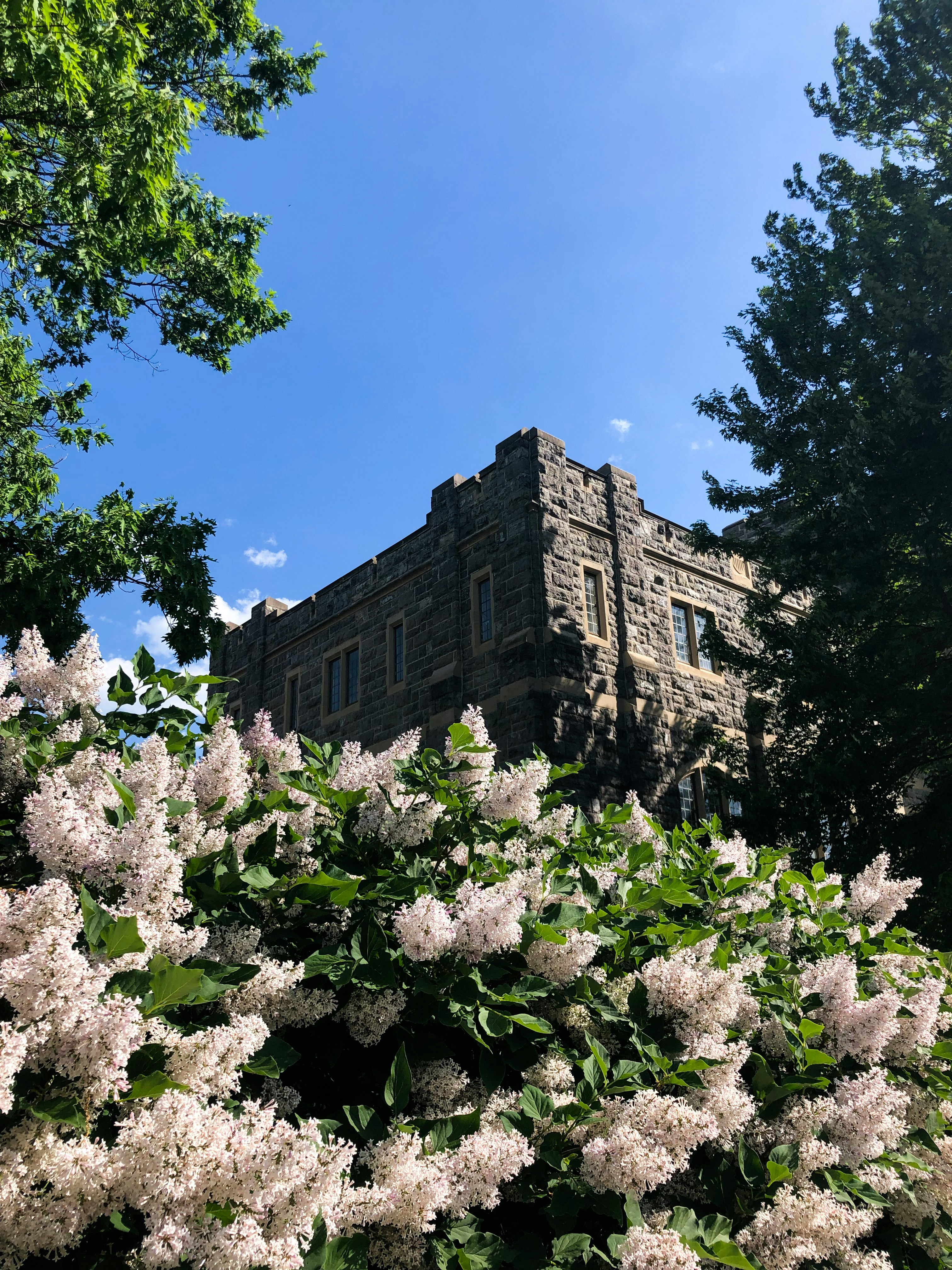 A tall building surrounded by trees and flowers
