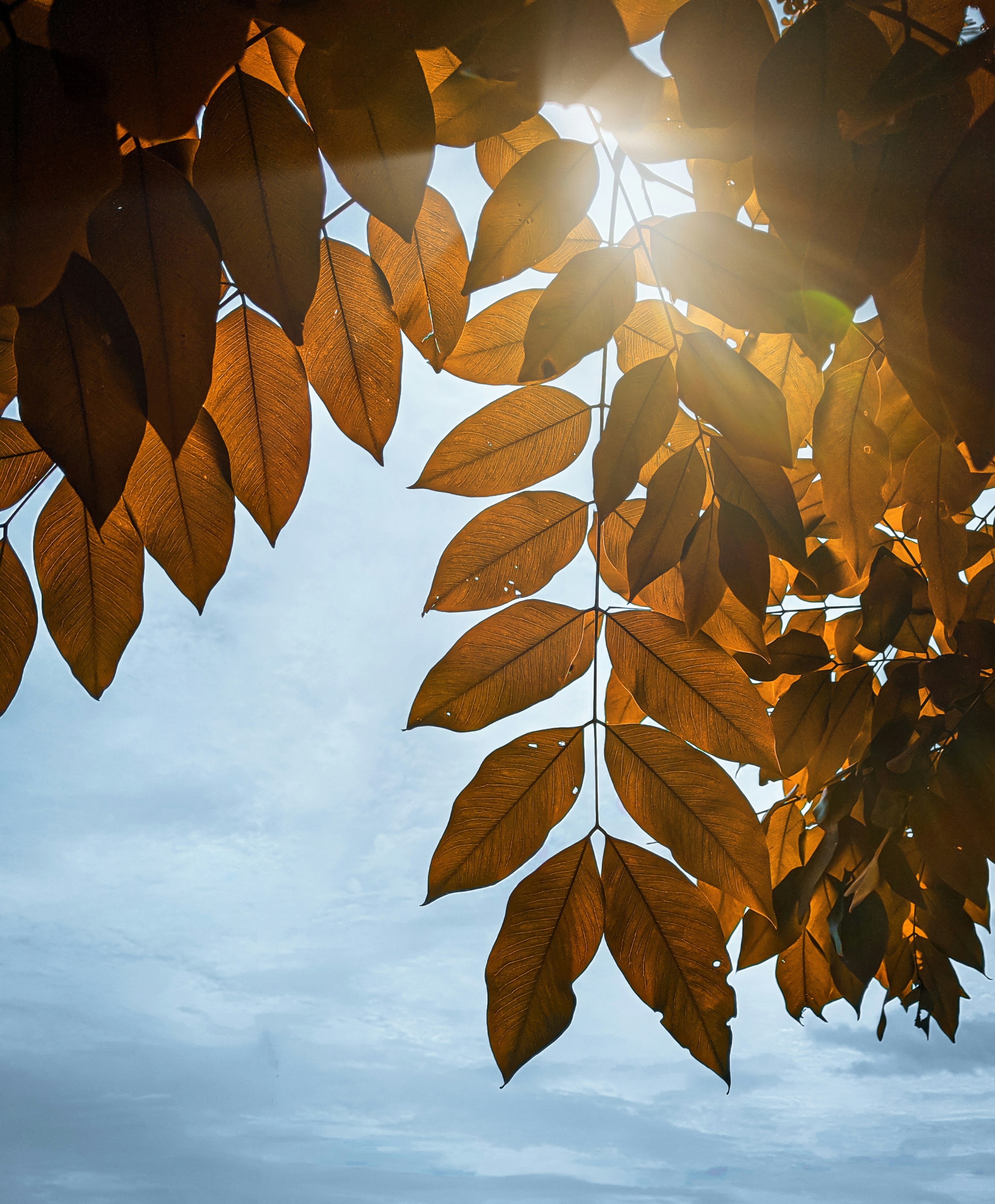 Photo by biku_dnath7508