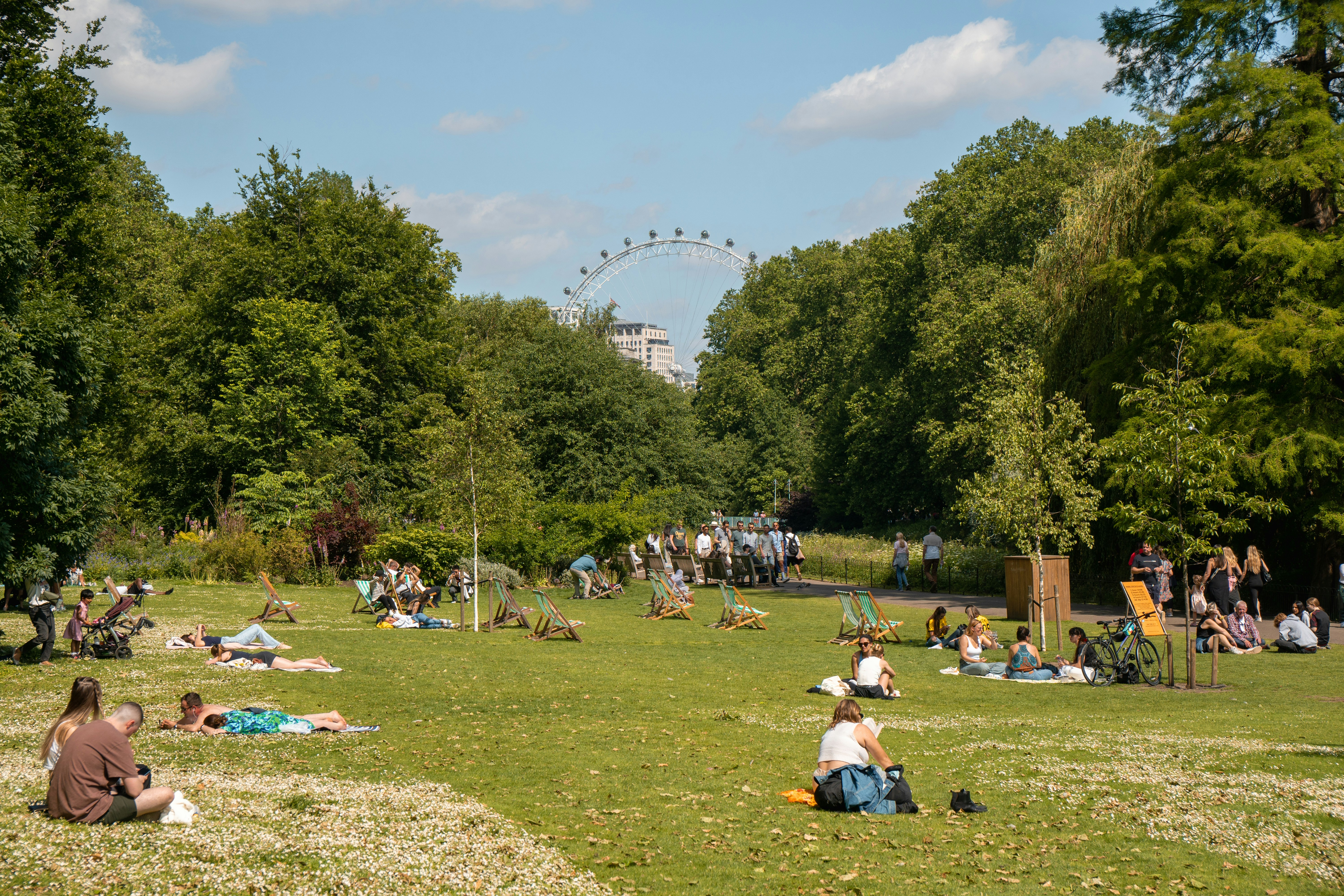 A group of people sitting on top of a lush green field