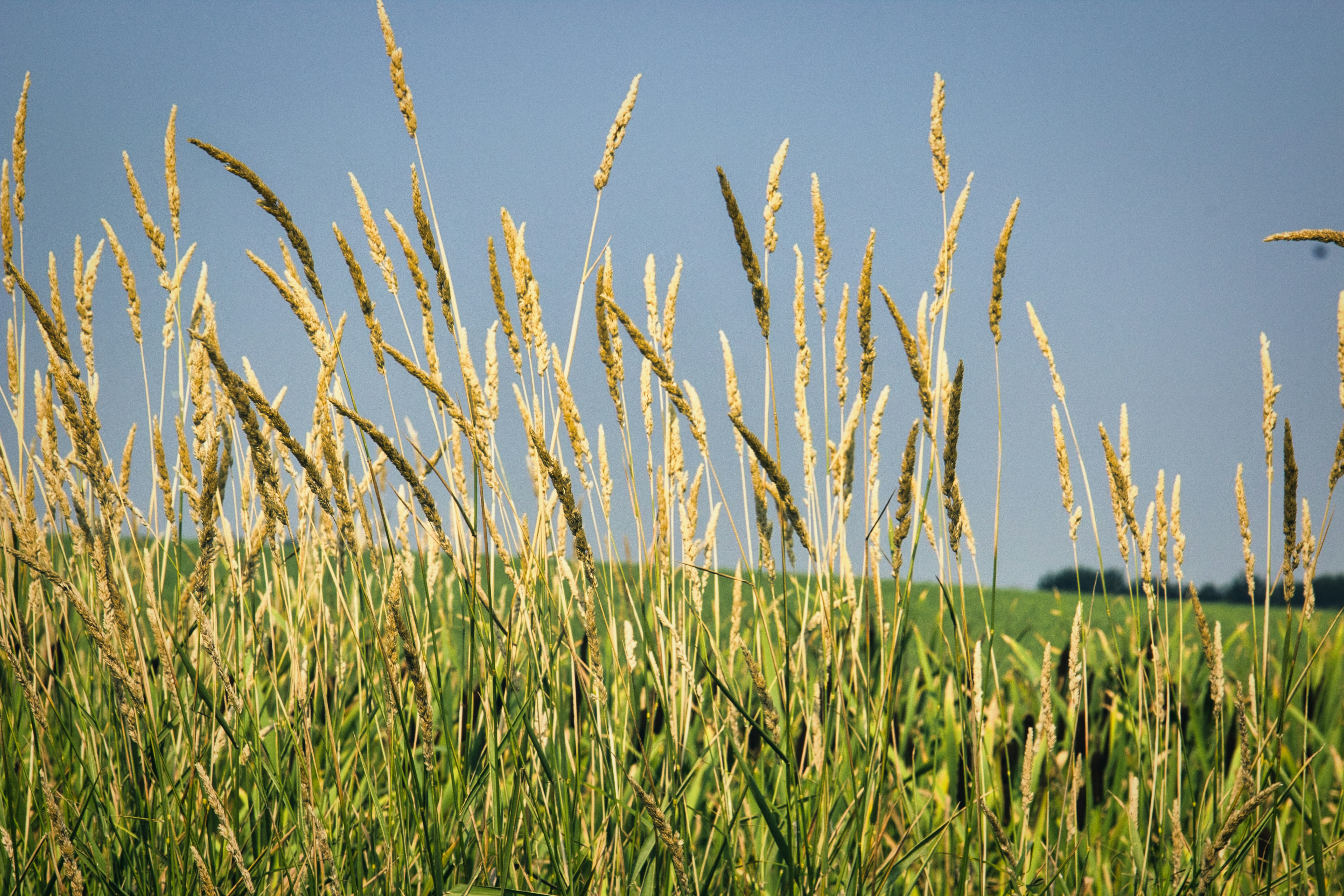 Photo by seekersabrina