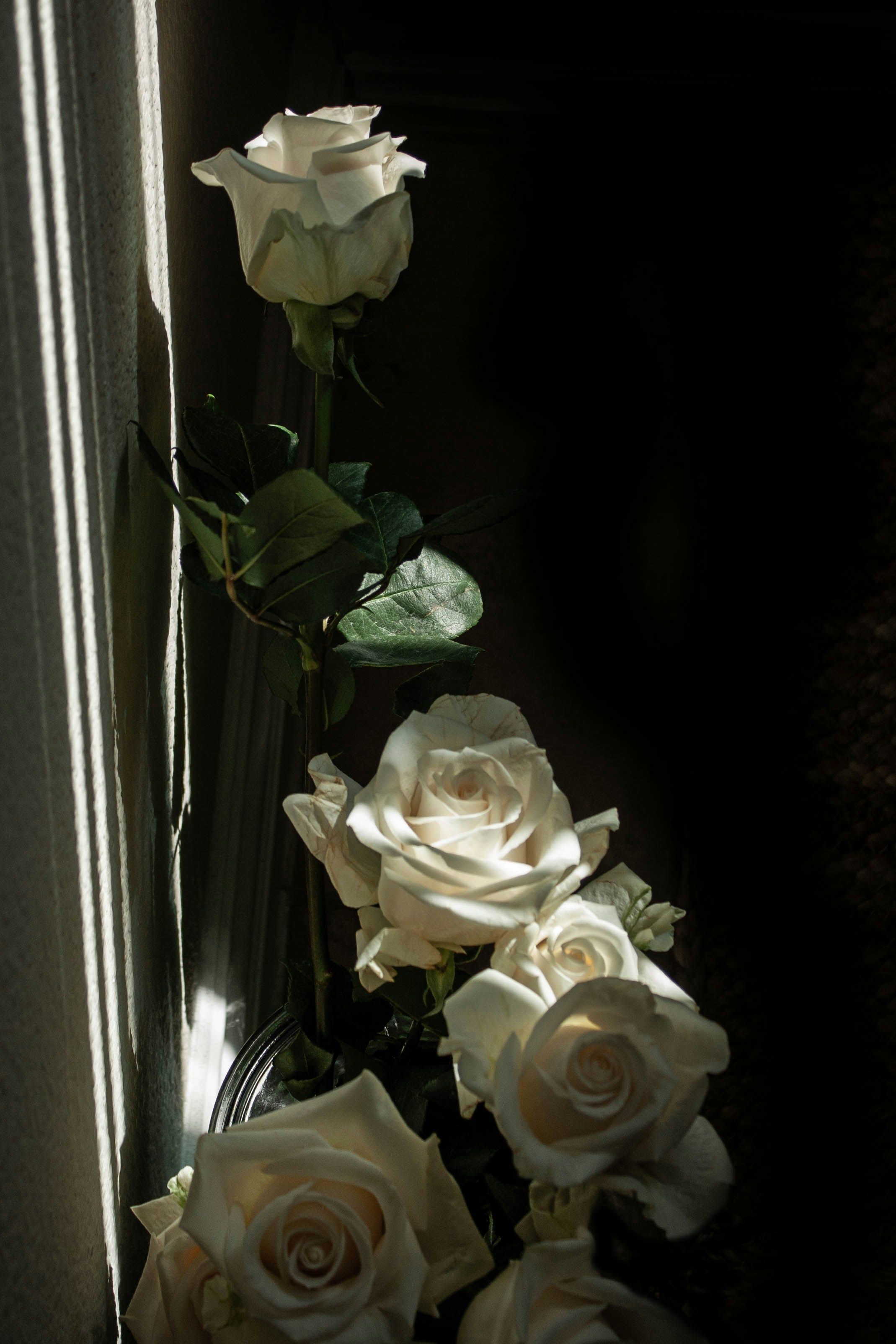 Ein Strauß weißer Rosen auf einem Tisch