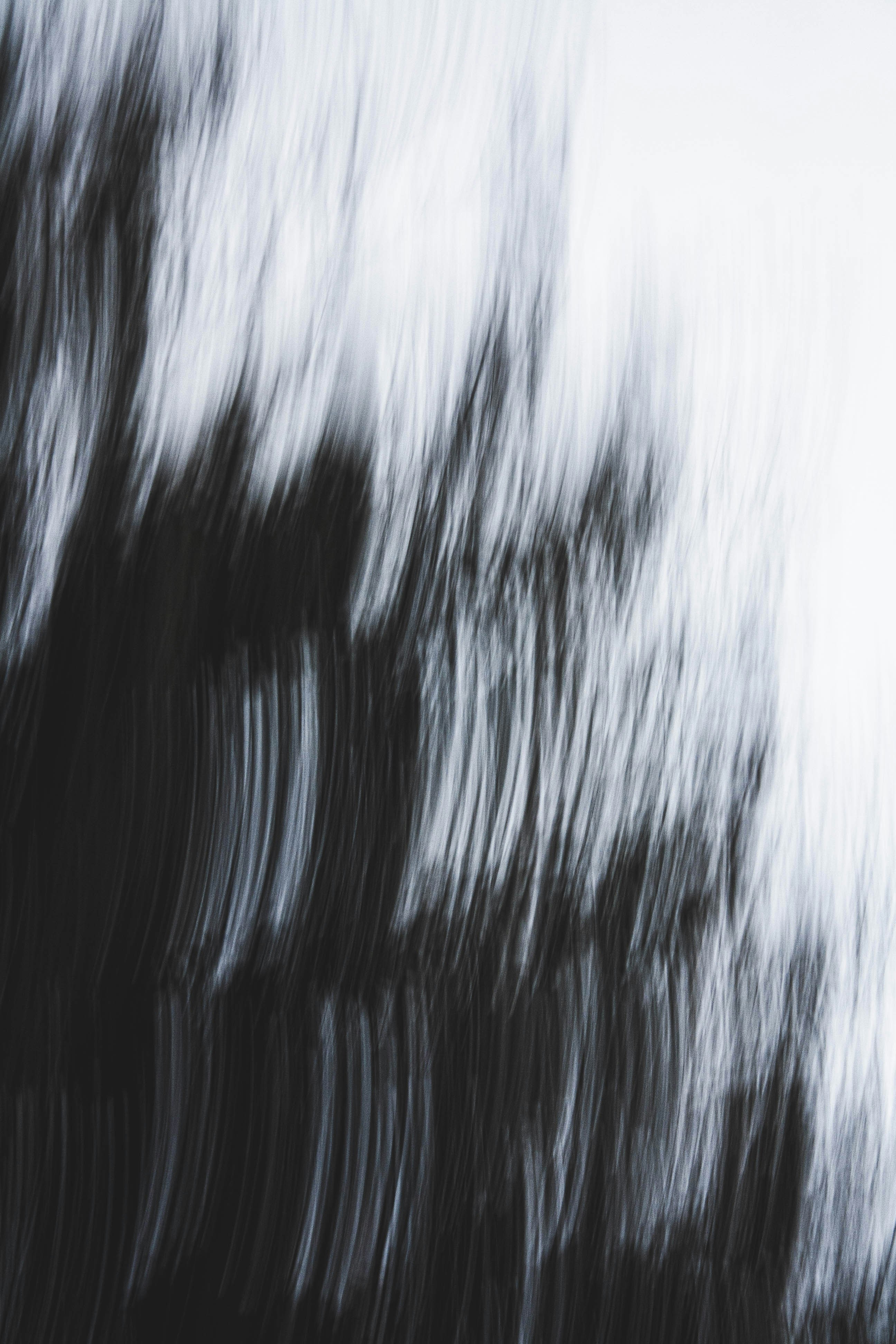 Photo by thelaibaali