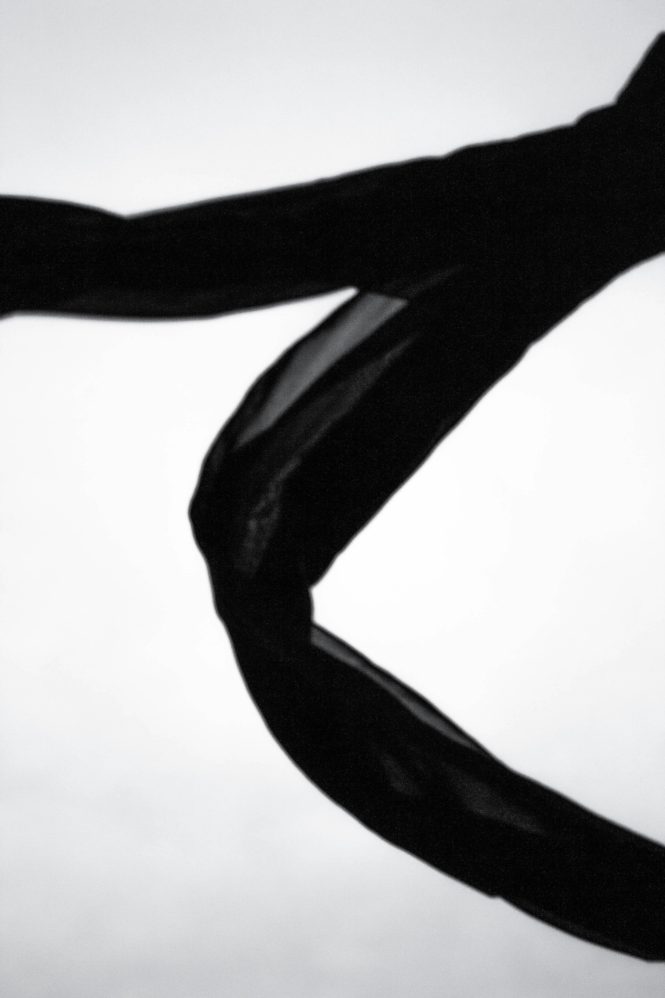 Photo by thelaibaali