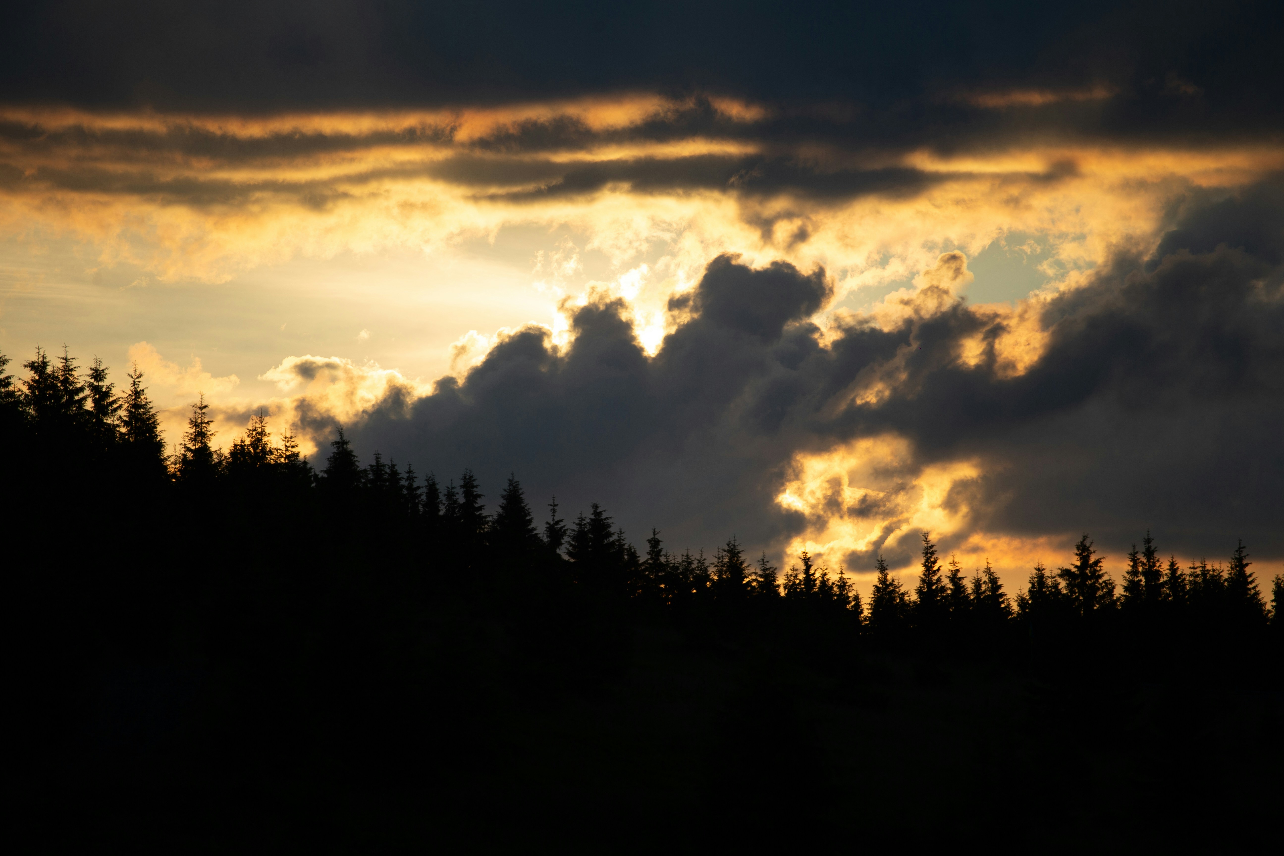 Photo by cameraobscura2000