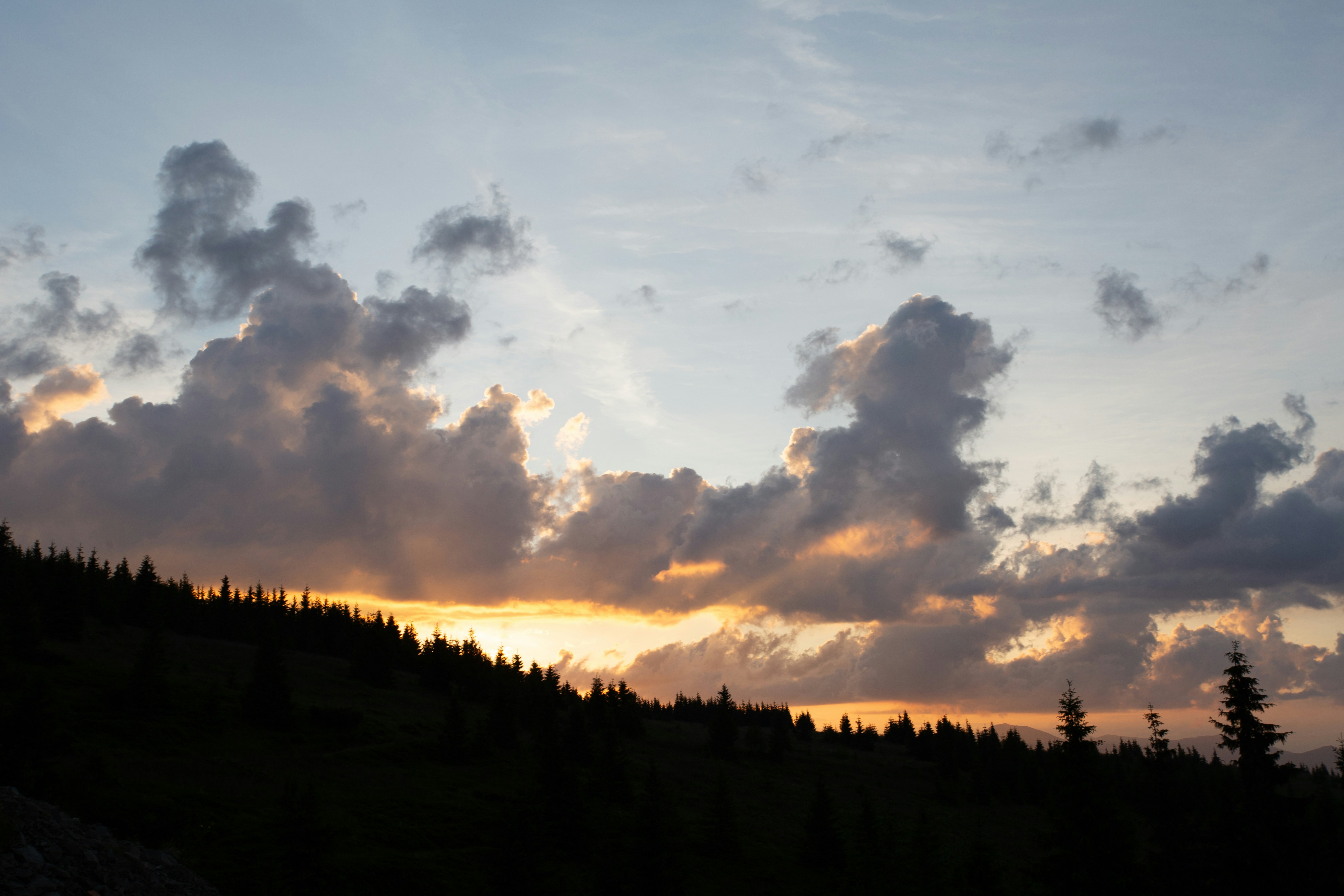 Photo by cameraobscura2000