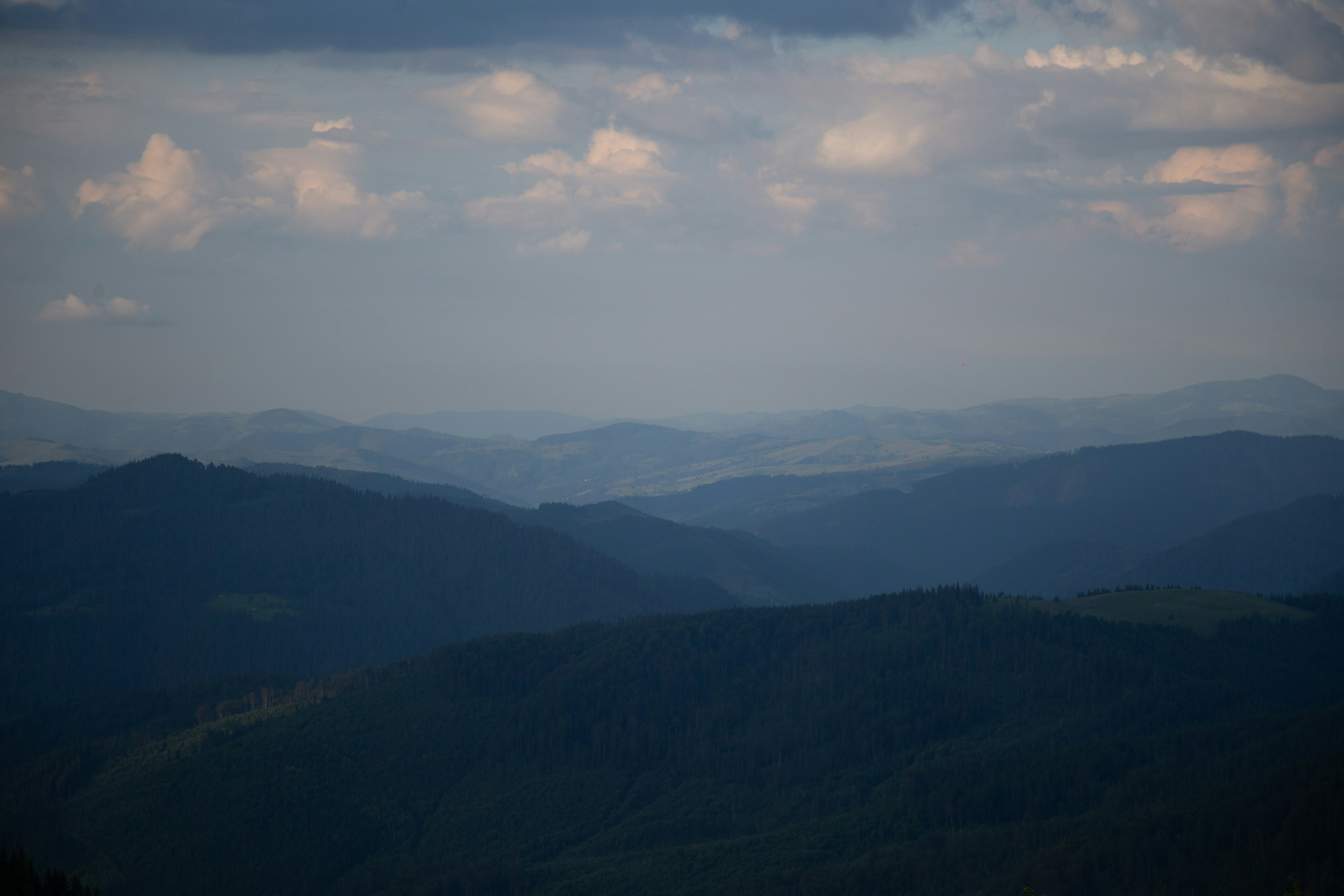 Photo by cameraobscura2000