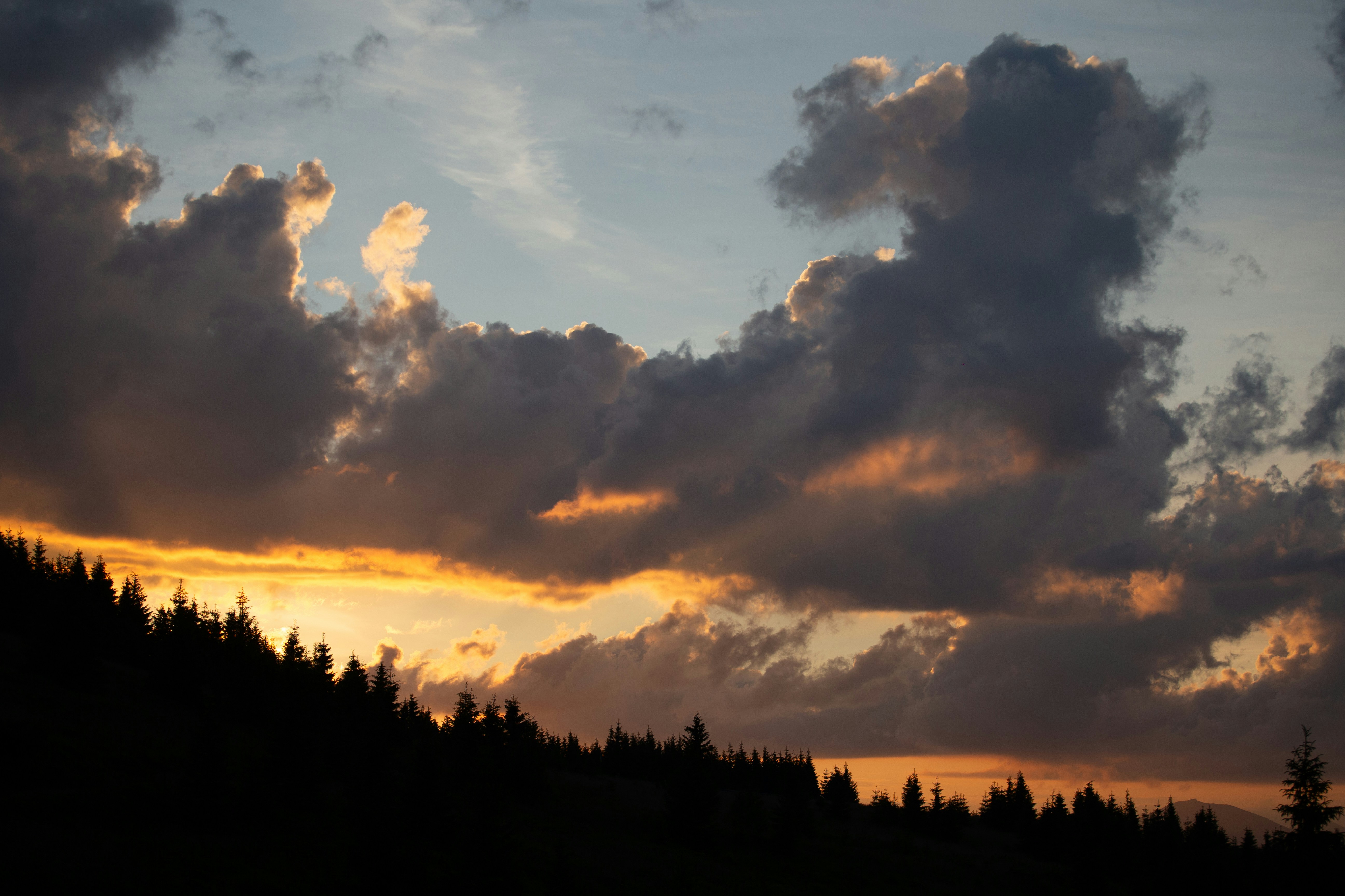 Photo by cameraobscura2000