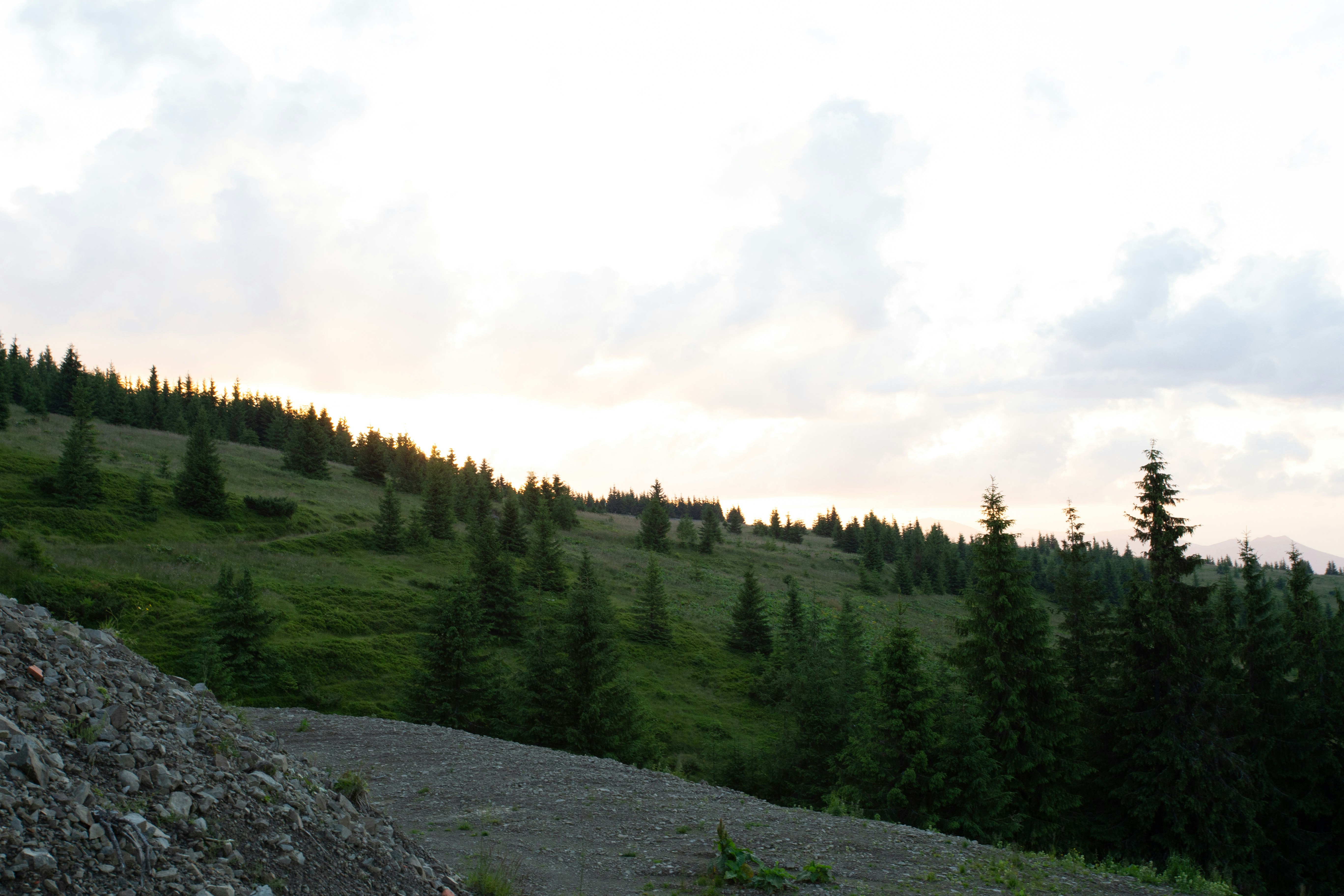 Photo by cameraobscura2000