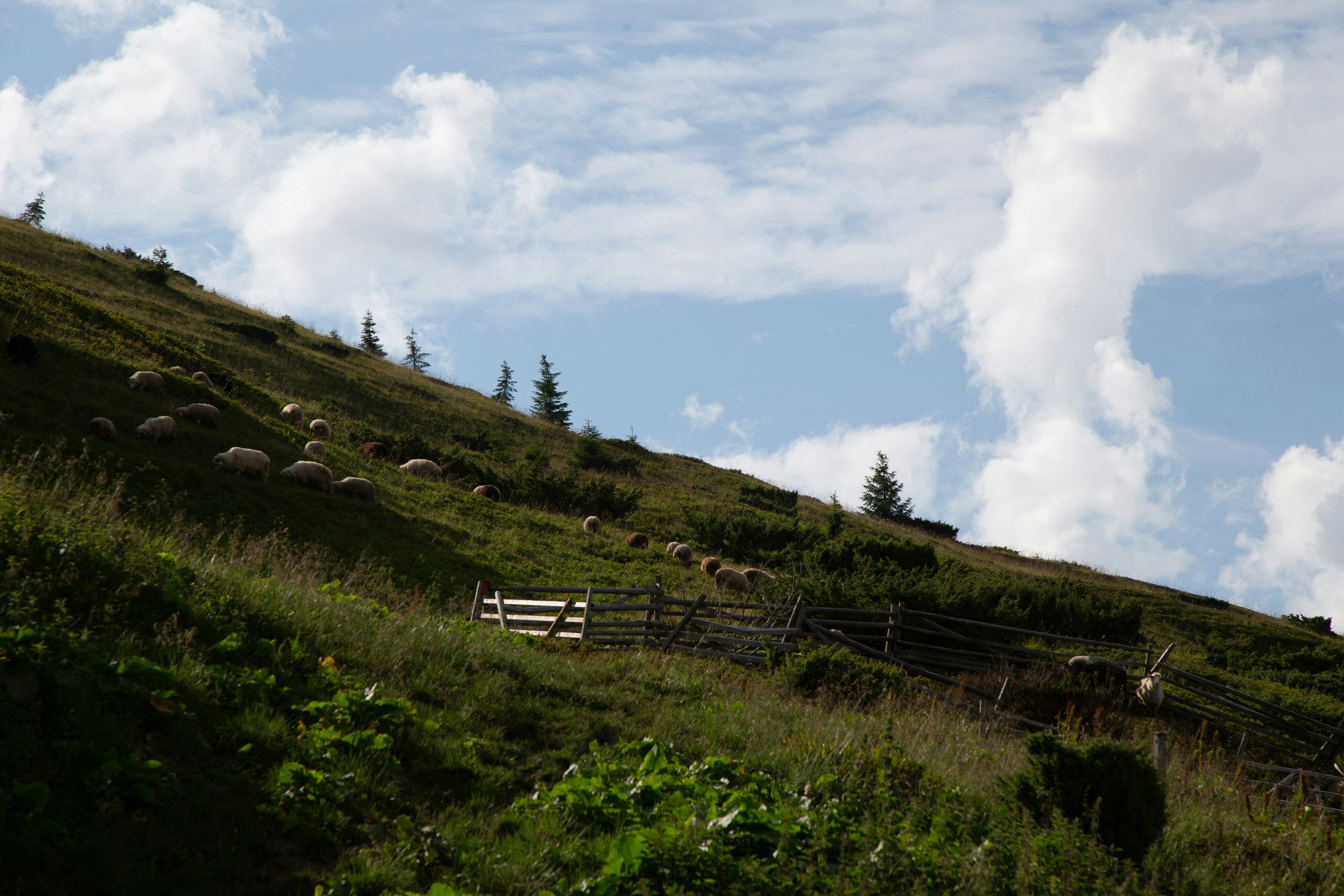 Photo by cameraobscura2000