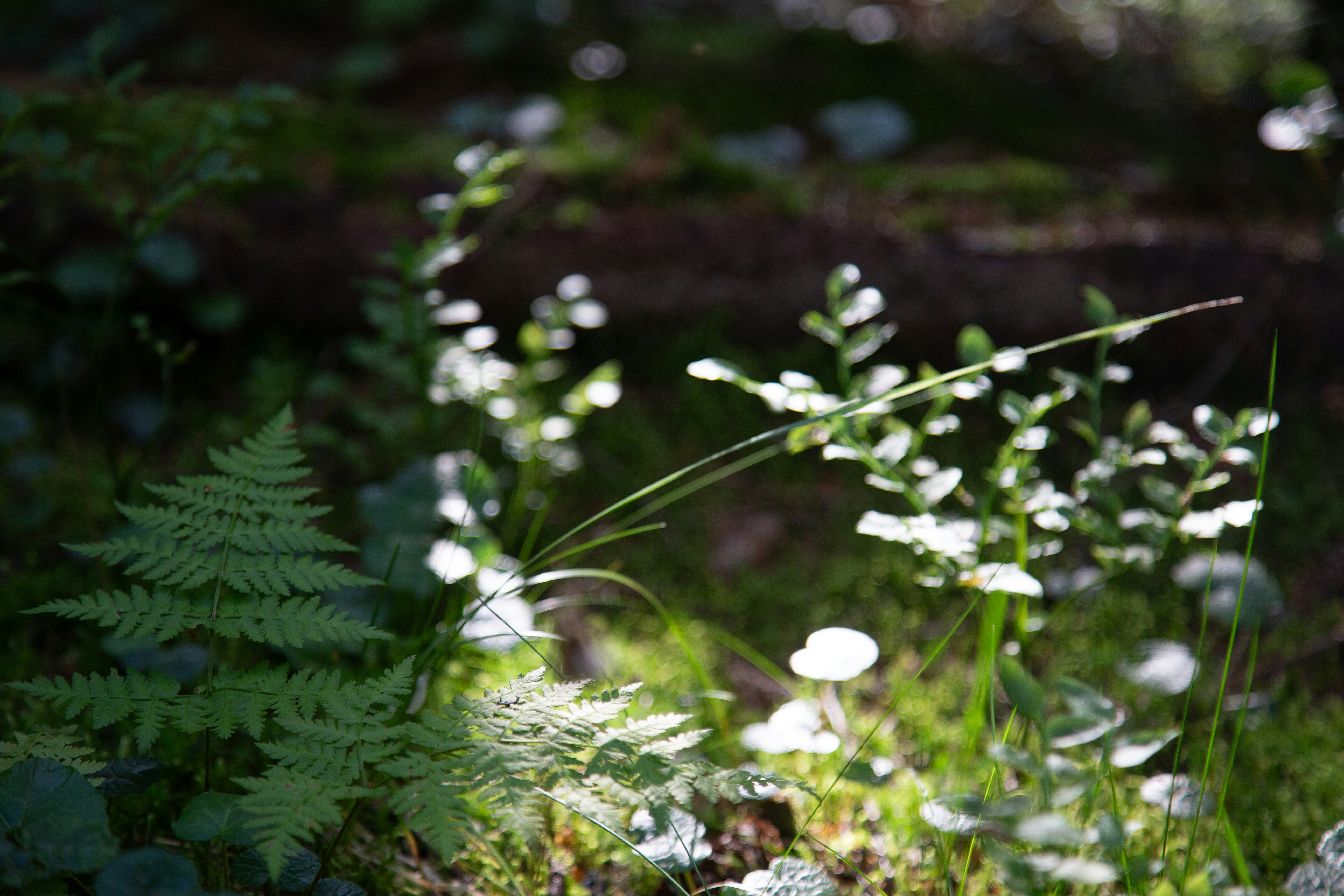 Photo by cameraobscura2000