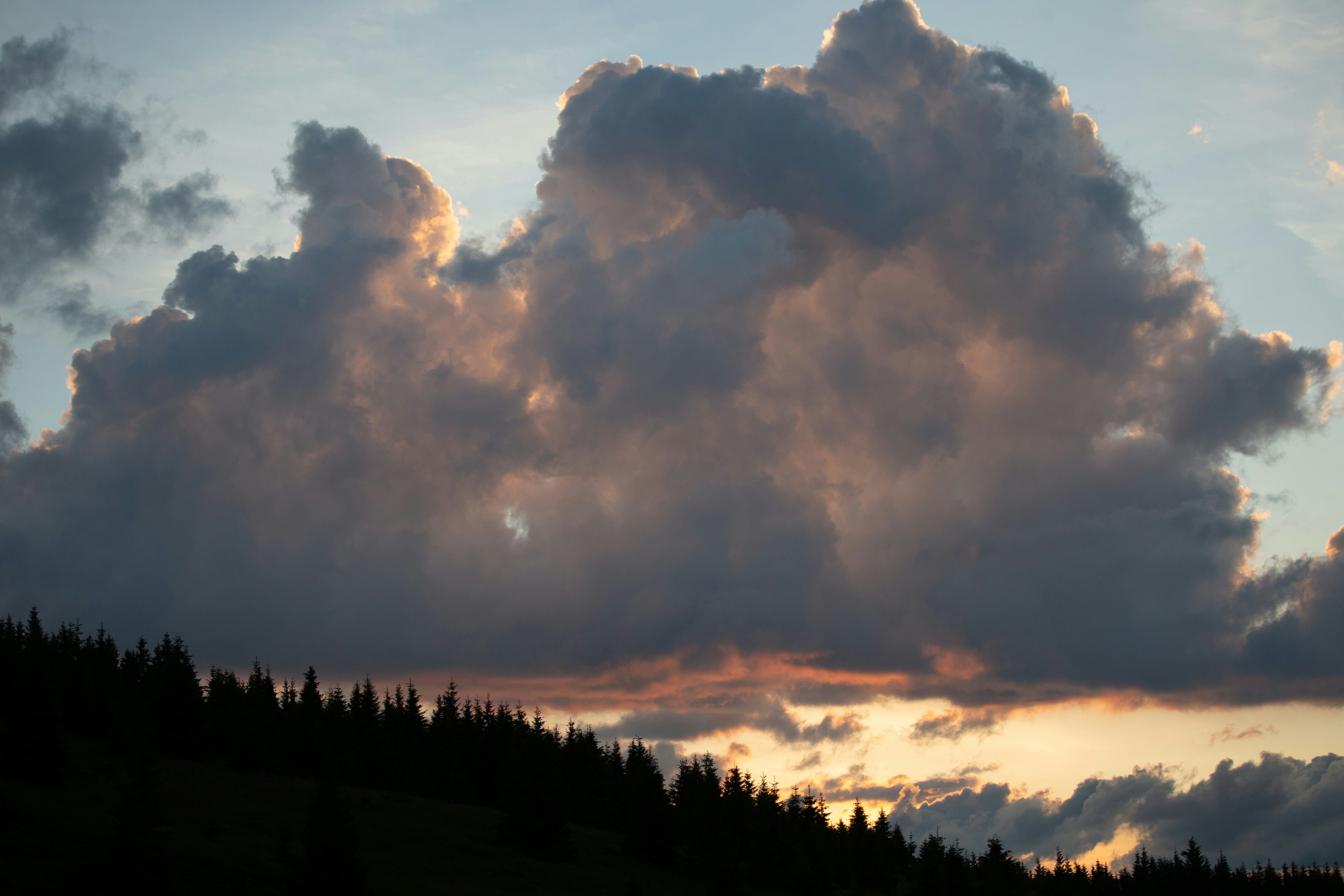 Photo by cameraobscura2000