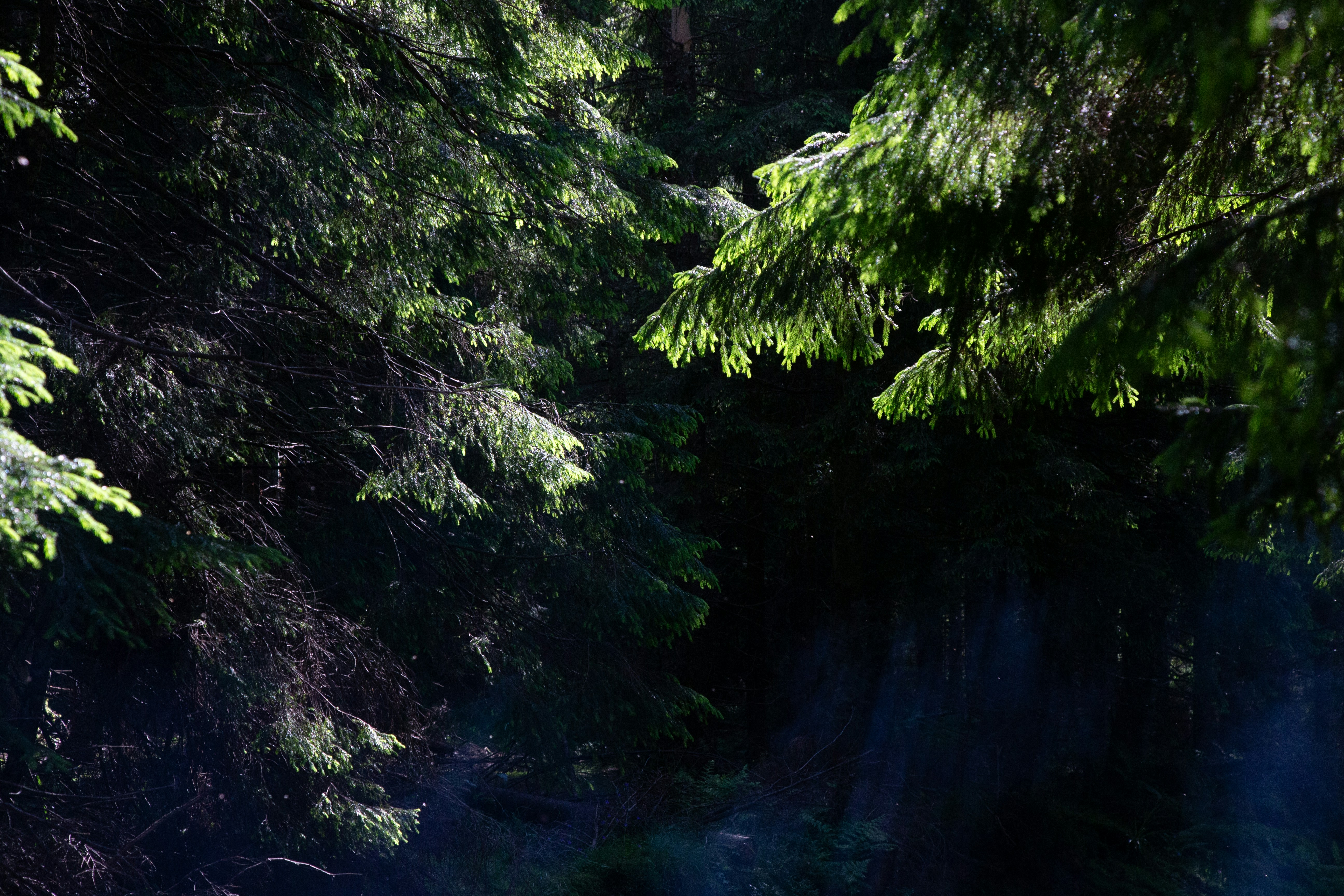 Photo by cameraobscura2000