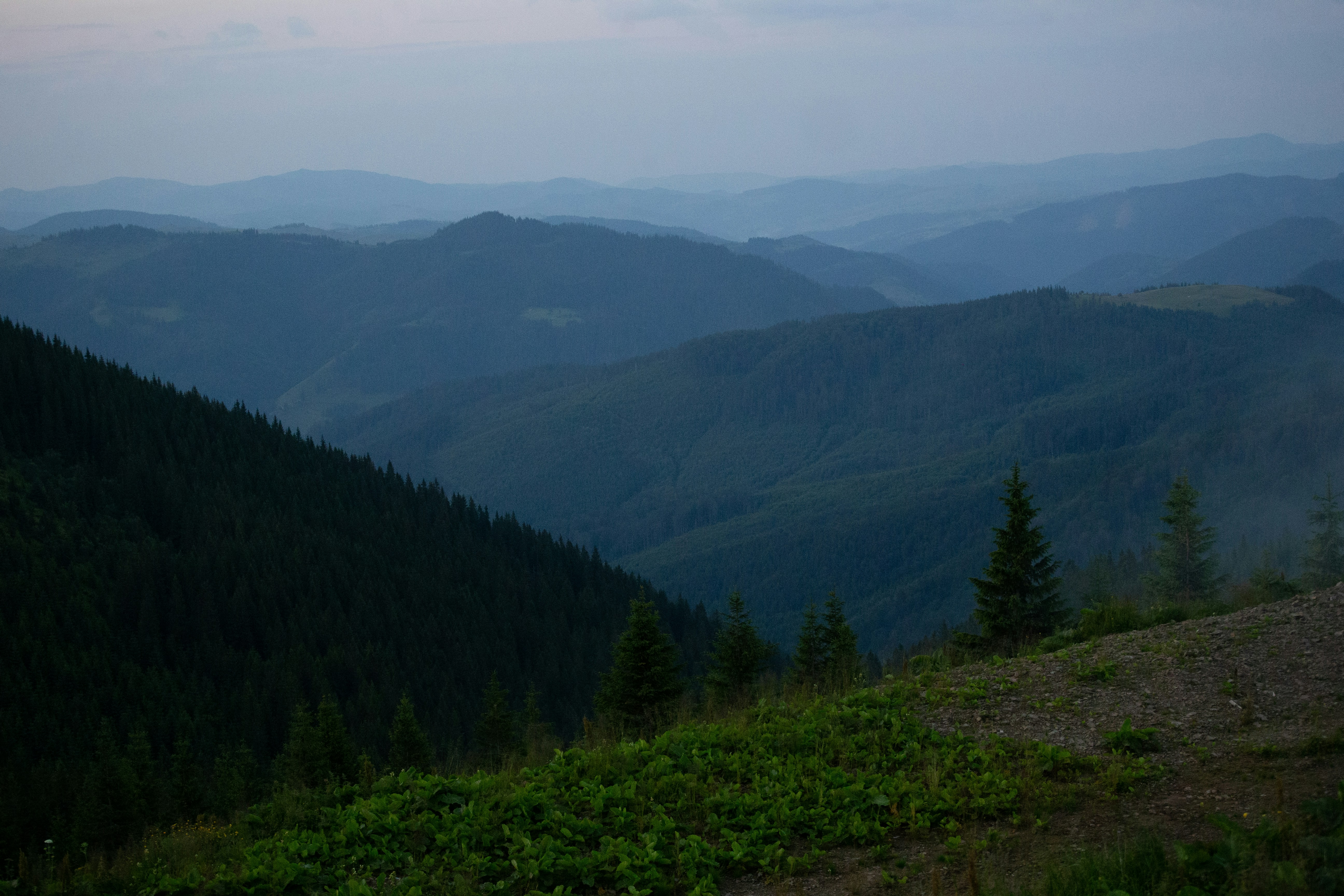 Photo by cameraobscura2000