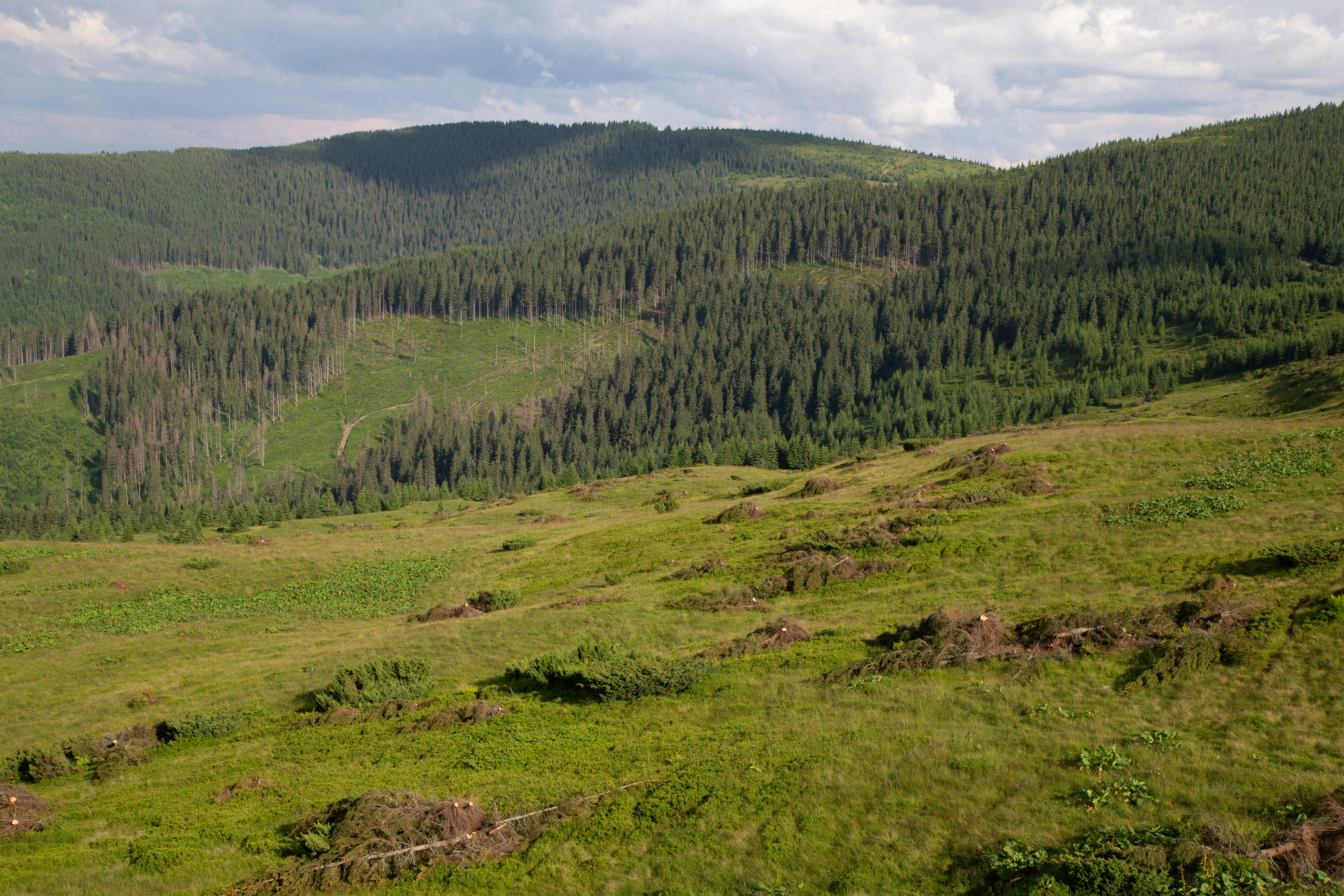 Photo by cameraobscura2000