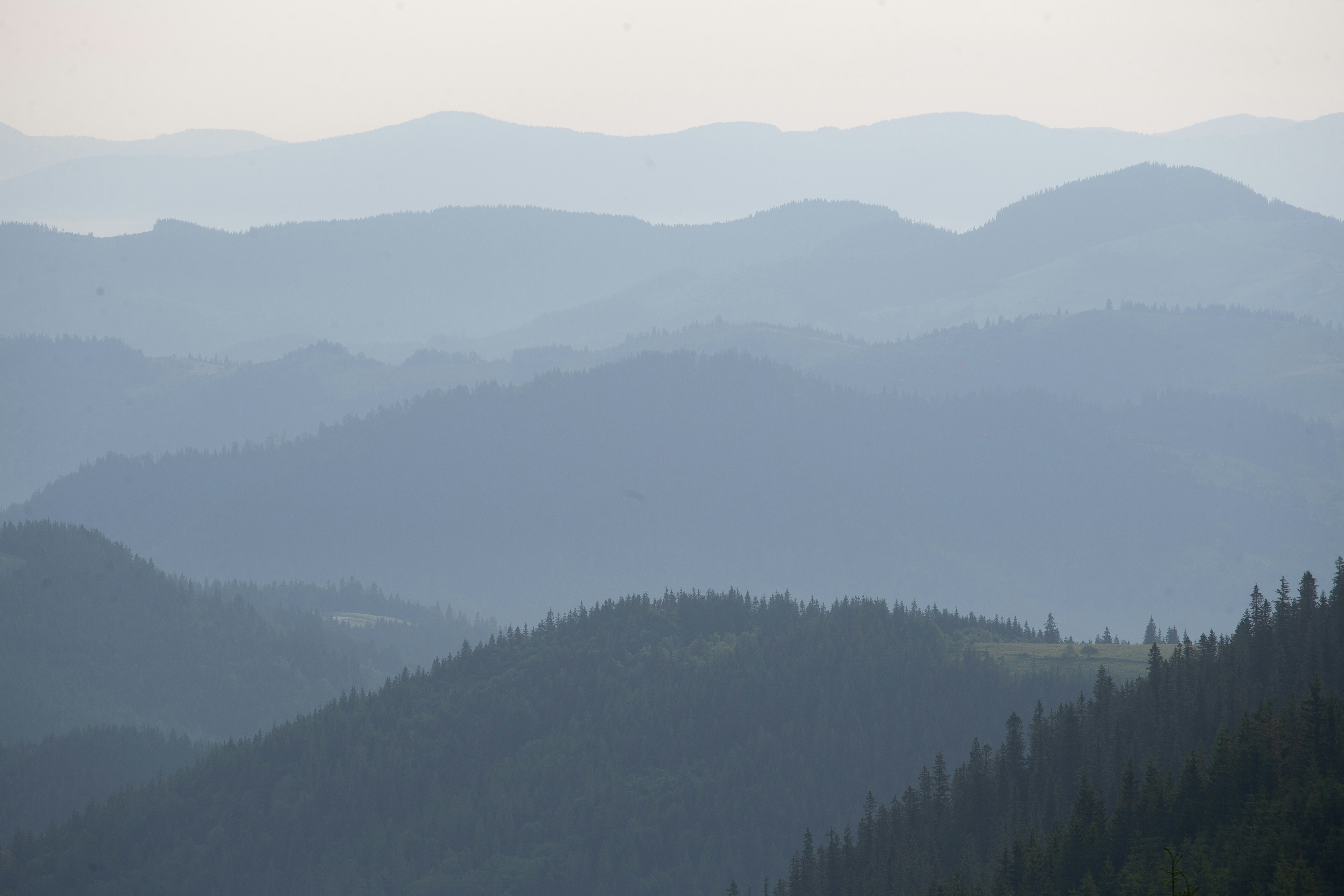 Photo by cameraobscura2000