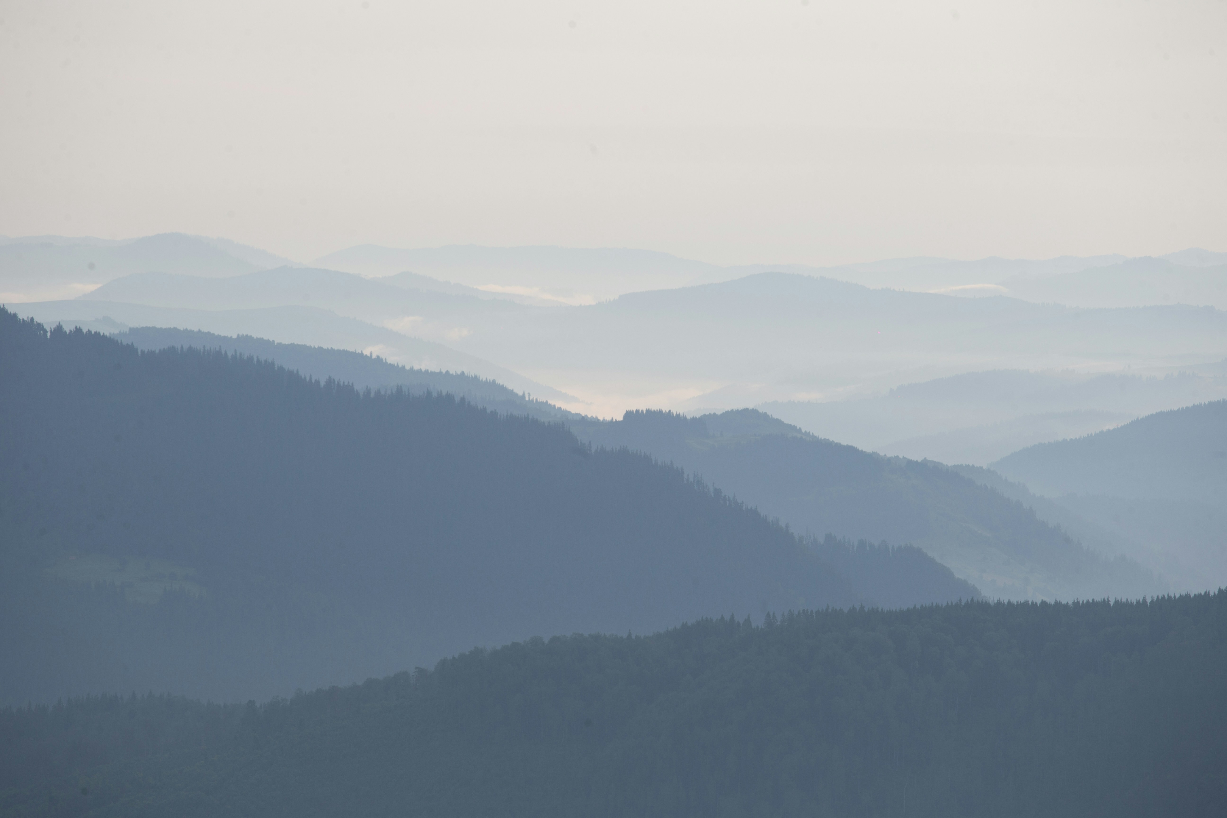 Photo by cameraobscura2000