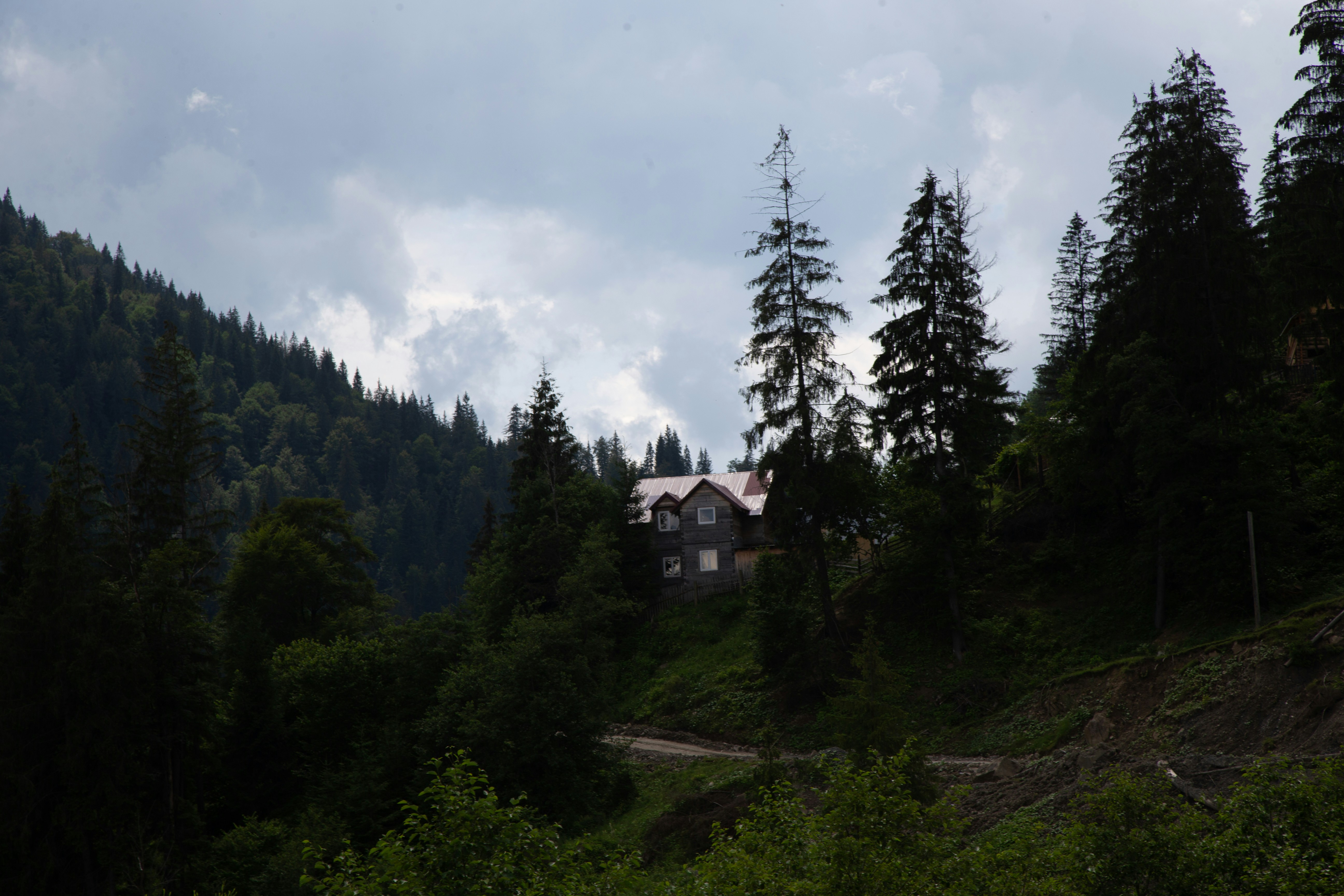 A house on a hill surrounded by trees